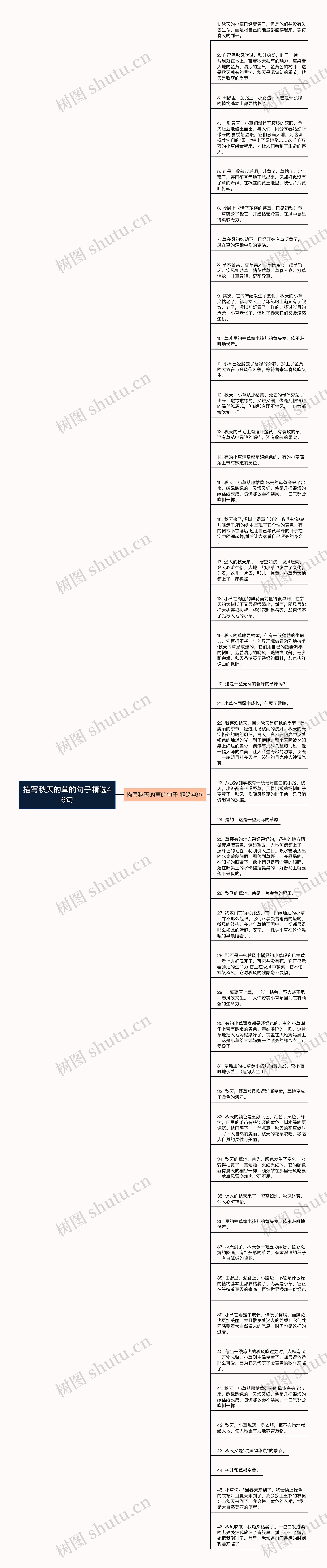 描写秋天的草的句子精选46句思维导图