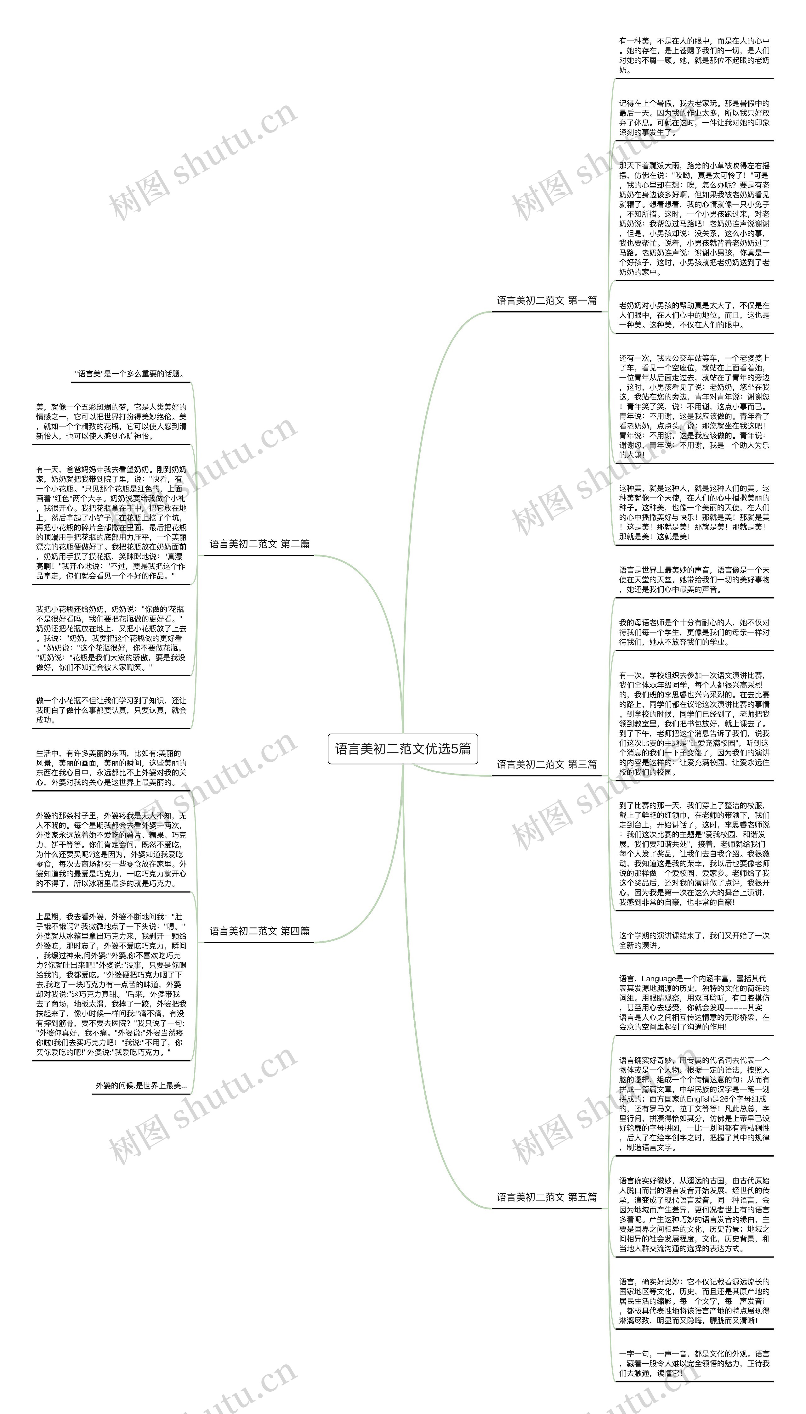 语言美初二范文优选5篇思维导图