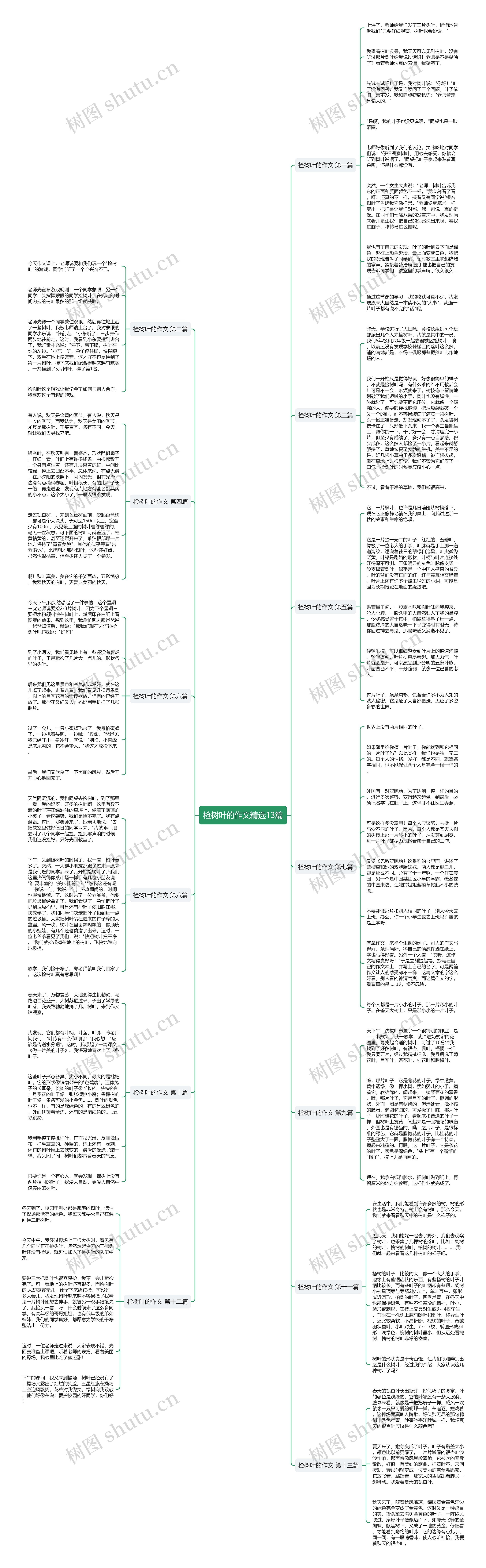 检树叶的作文精选13篇思维导图