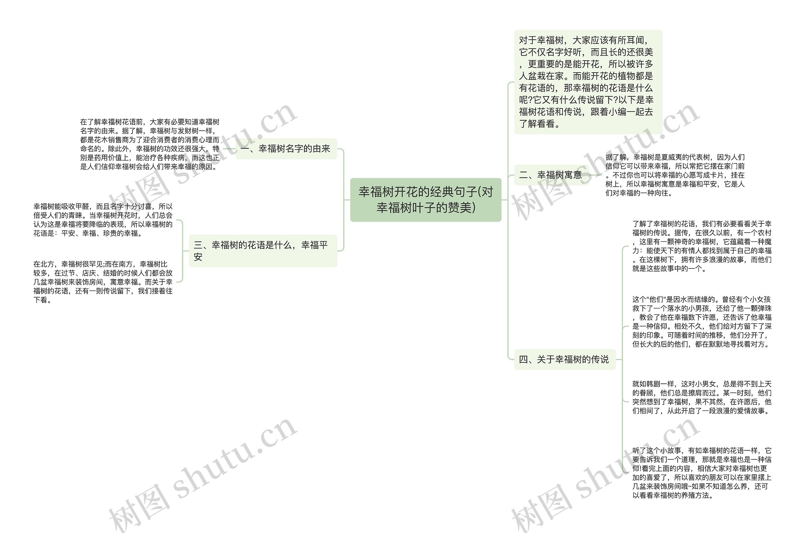 幸福树开花的经典句子(对幸福树叶子的赞美)思维导图