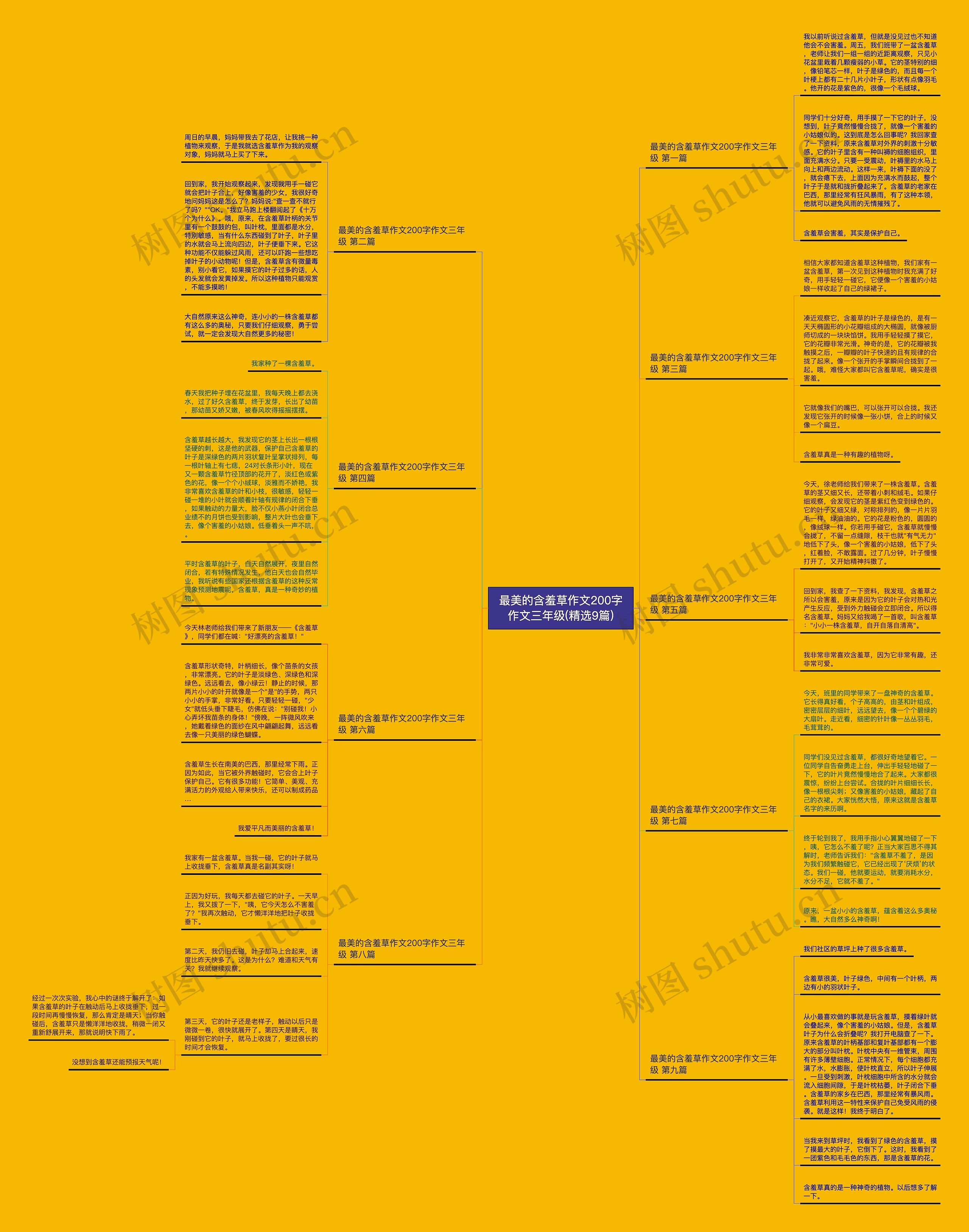 最美的含羞草作文200字作文三年级(精选9篇)思维导图
