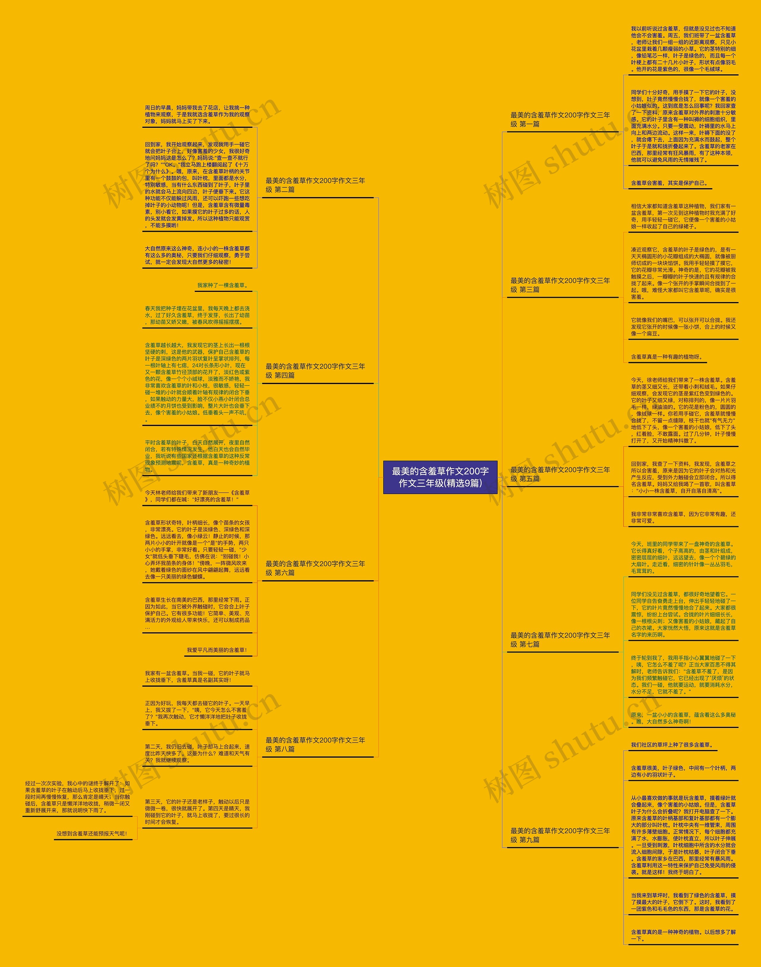 最美的含羞草作文200字作文三年级(精选9篇) 最美的含羞草作文200字作文三年级(精选9篇)