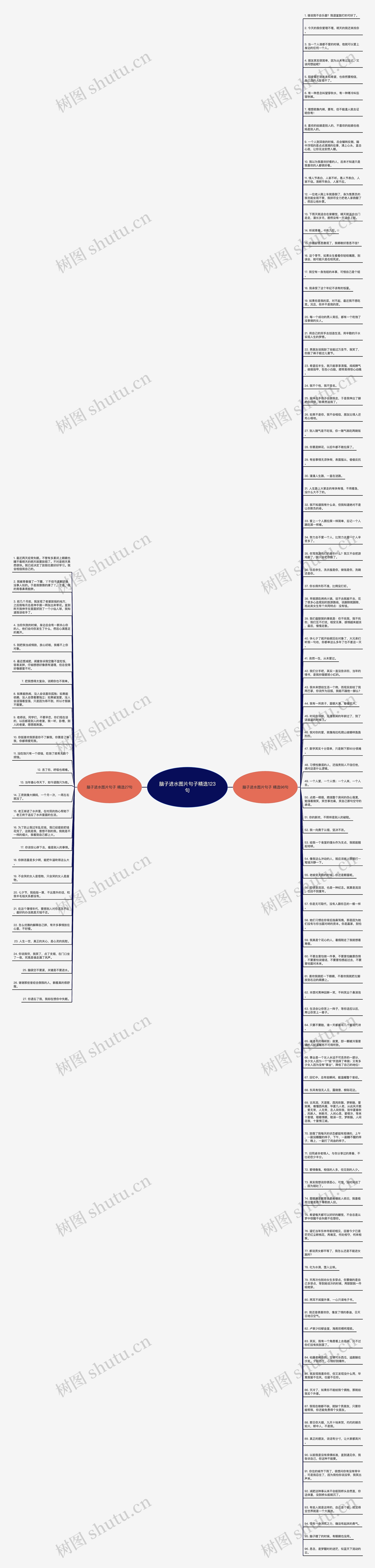 脑子进水图片句子精选123句思维导图