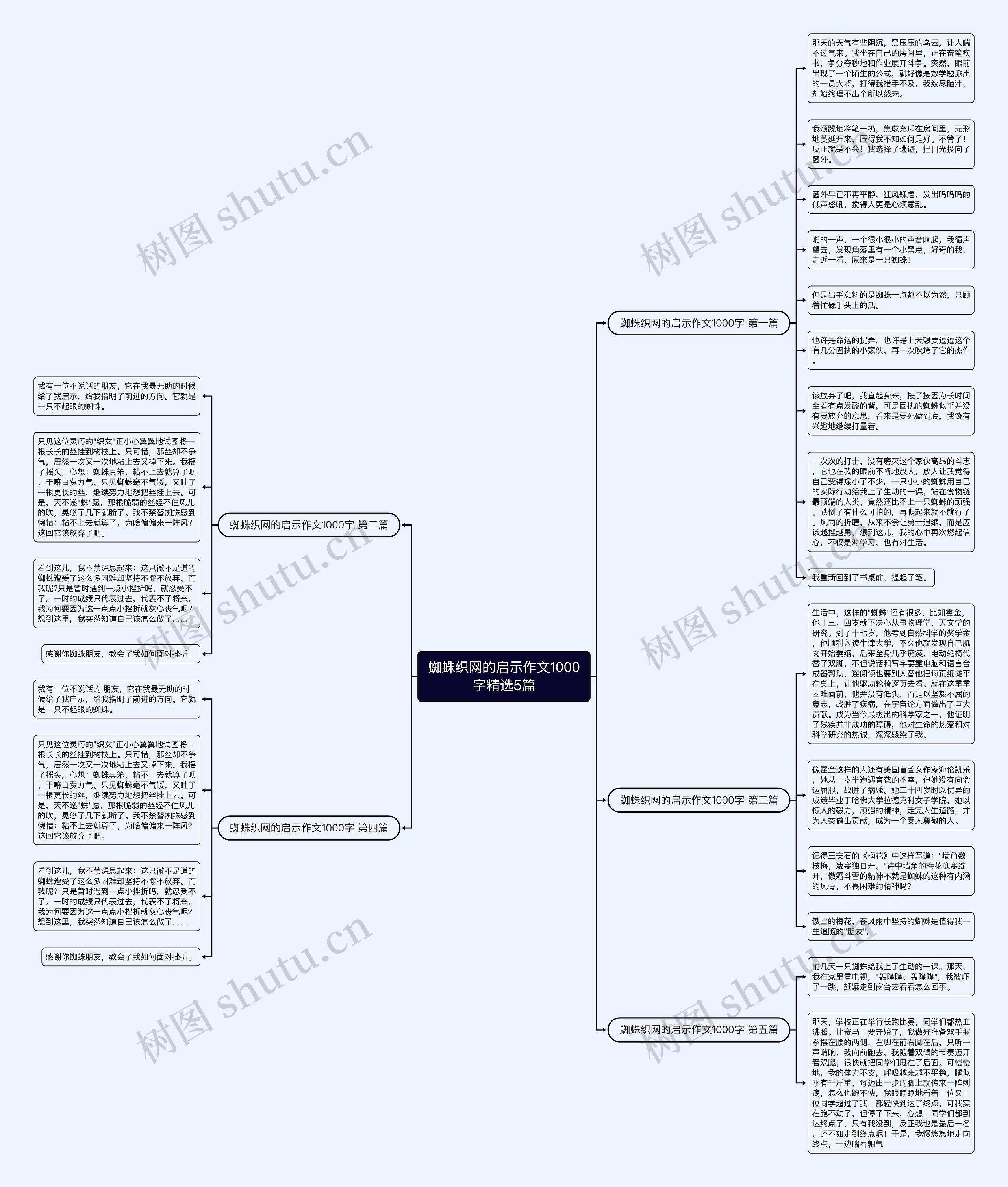 蜘蛛织网的启示作文1000字精选5篇思维导图
