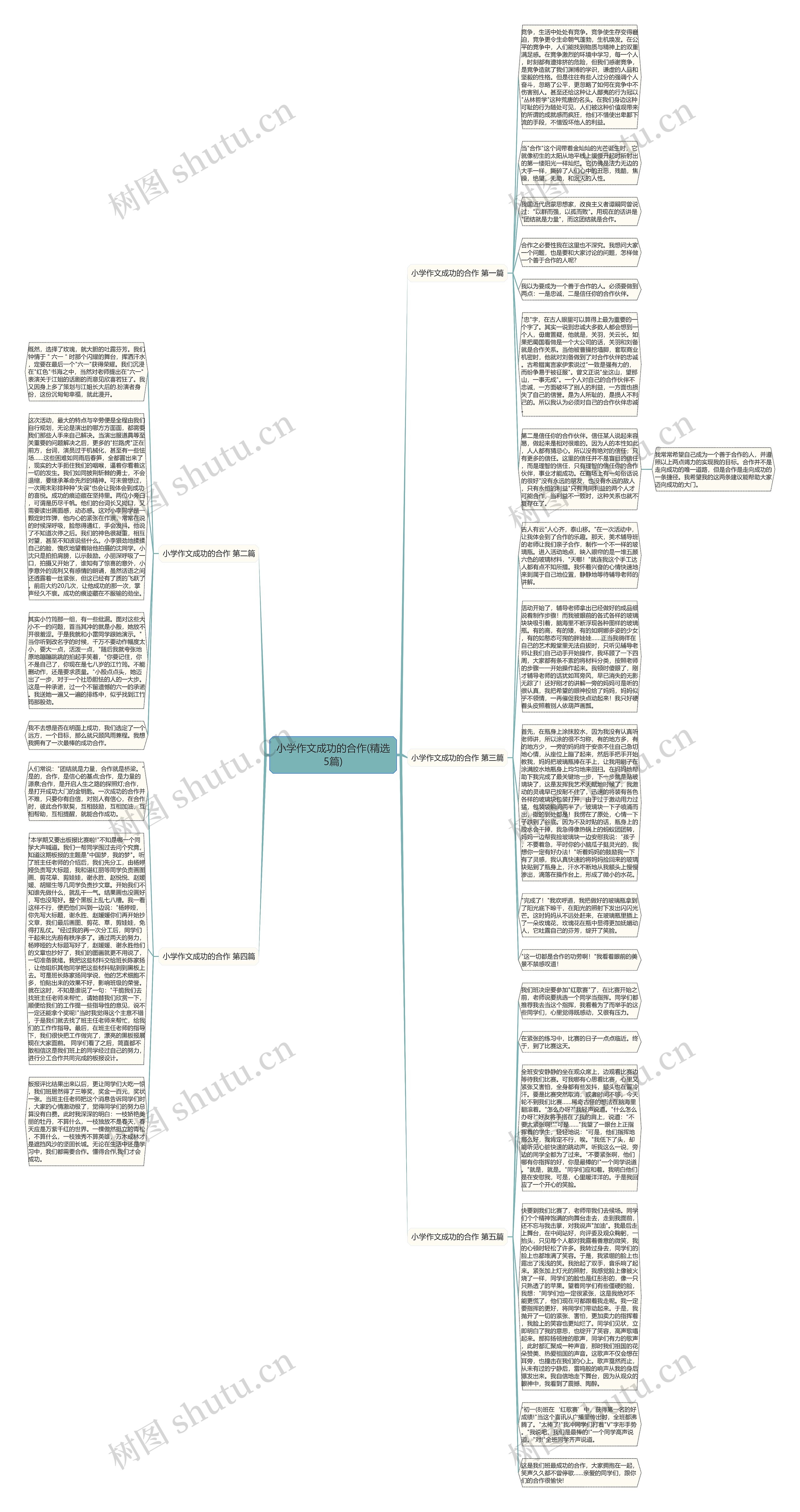 小学作文成功的合作(精选5篇)思维导图
