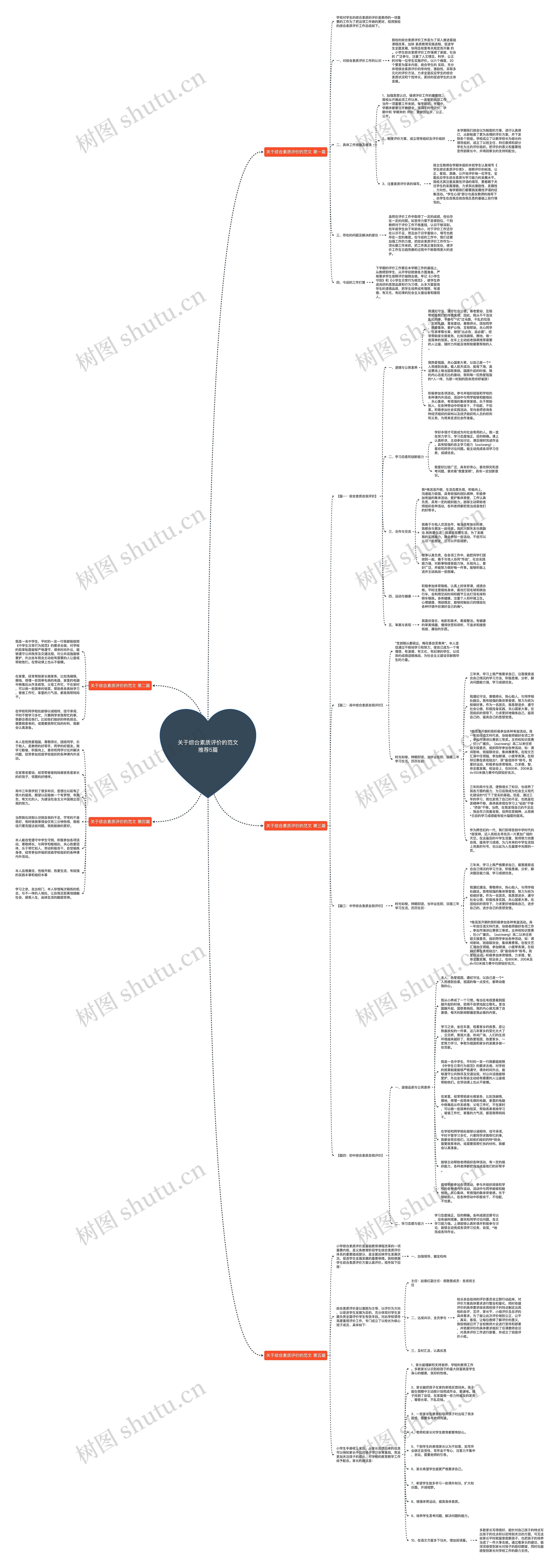 关于综合素质评价的范文推荐5篇思维导图