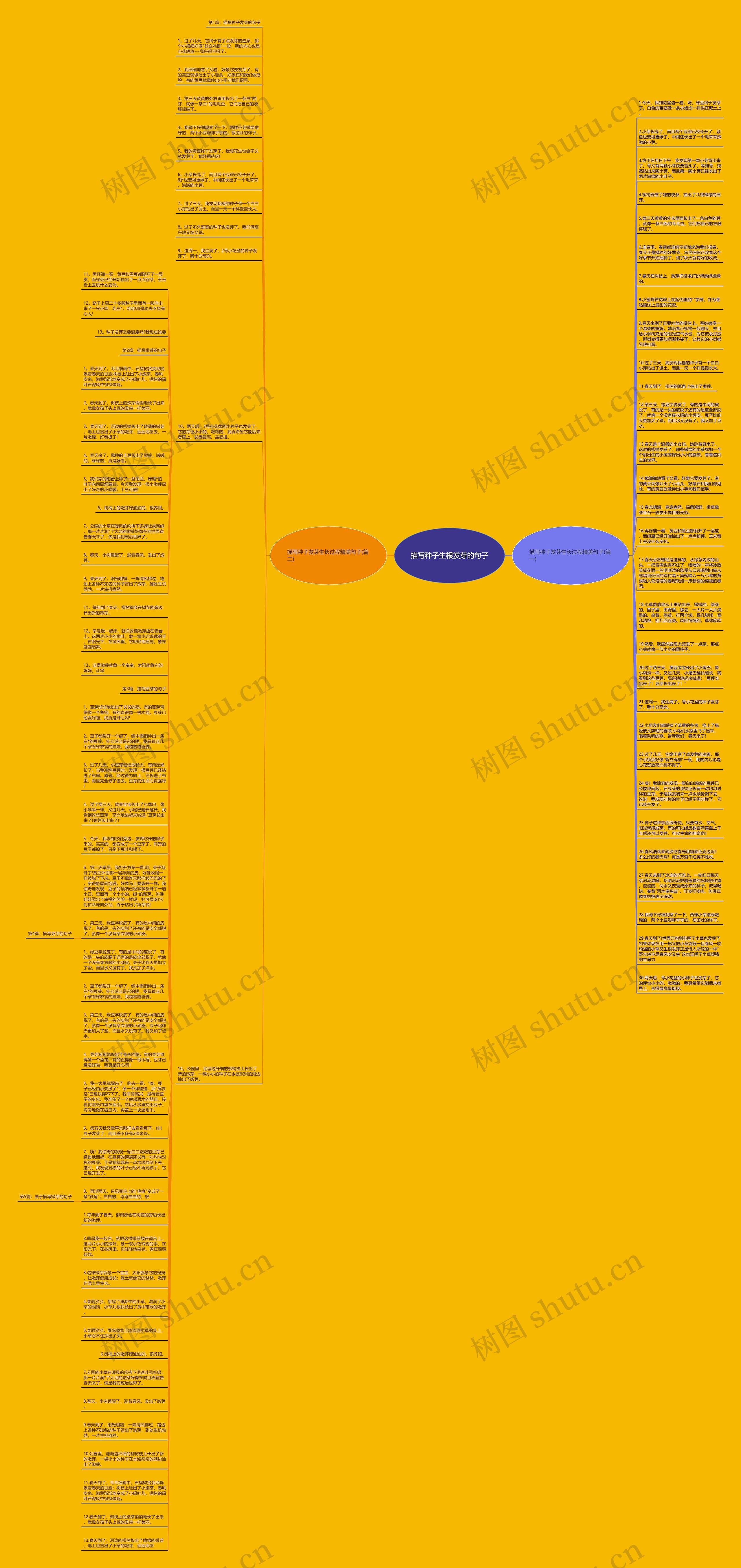 描写种子生根发芽的句子思维导图