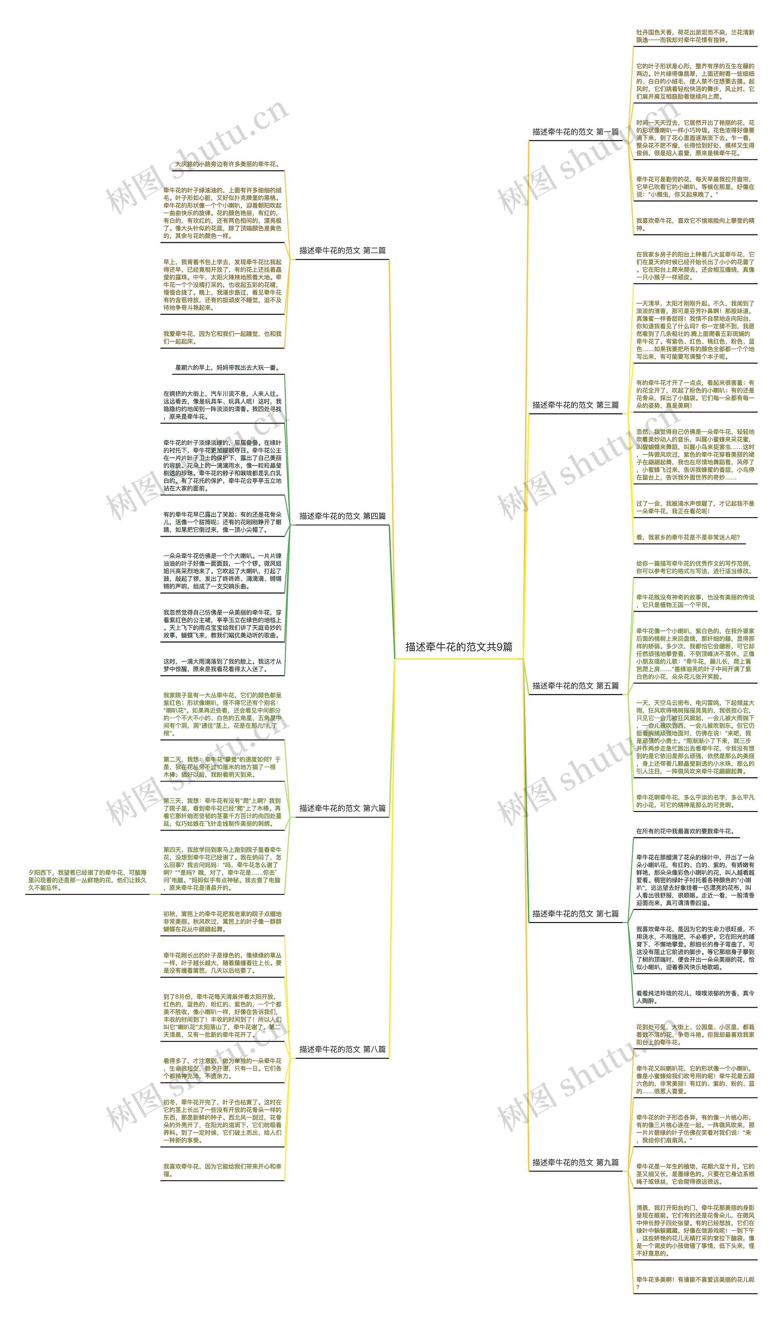 描述牵牛花的范文共9篇思维导图