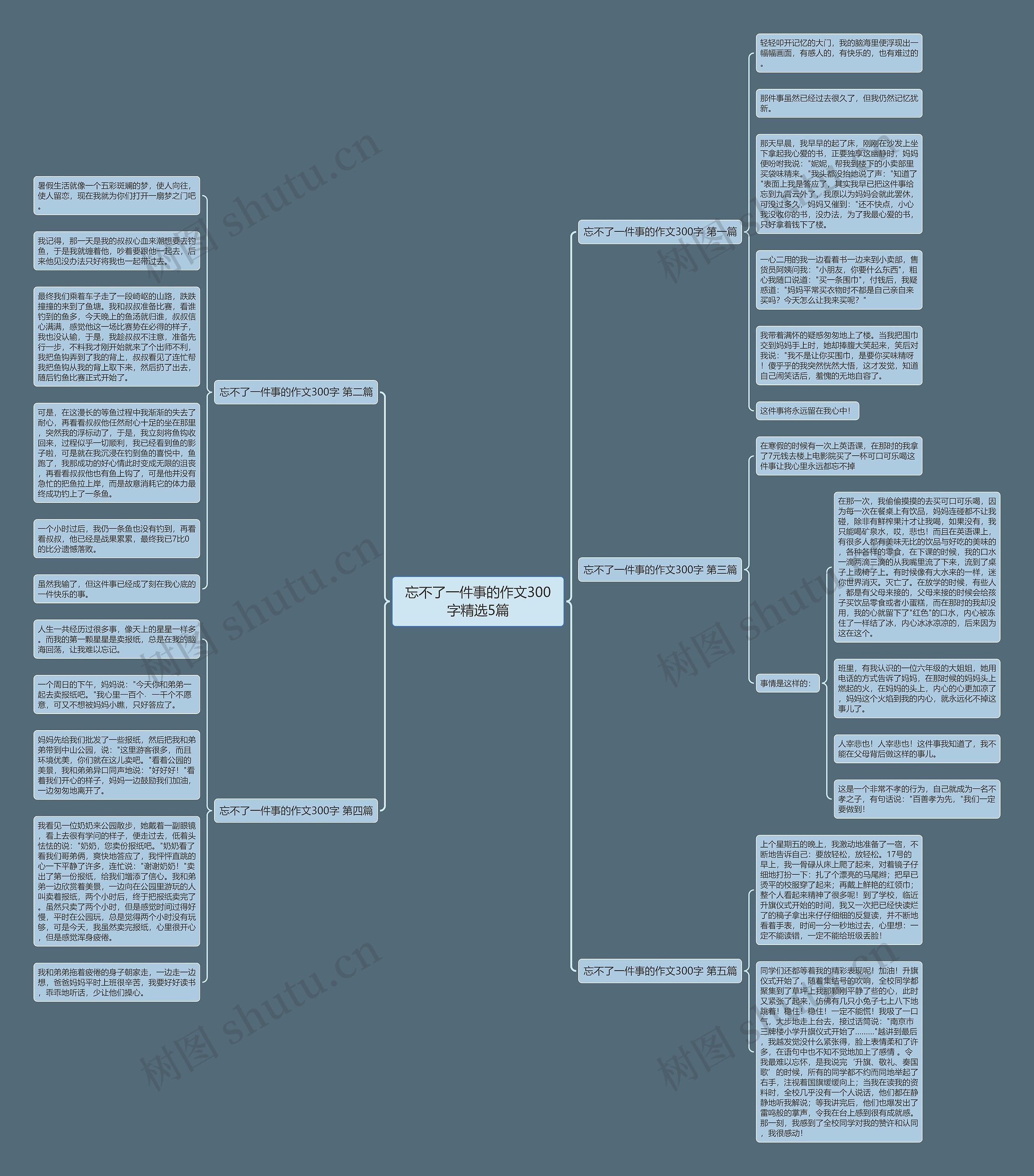忘不了一件事的作文300字精选5篇思维导图