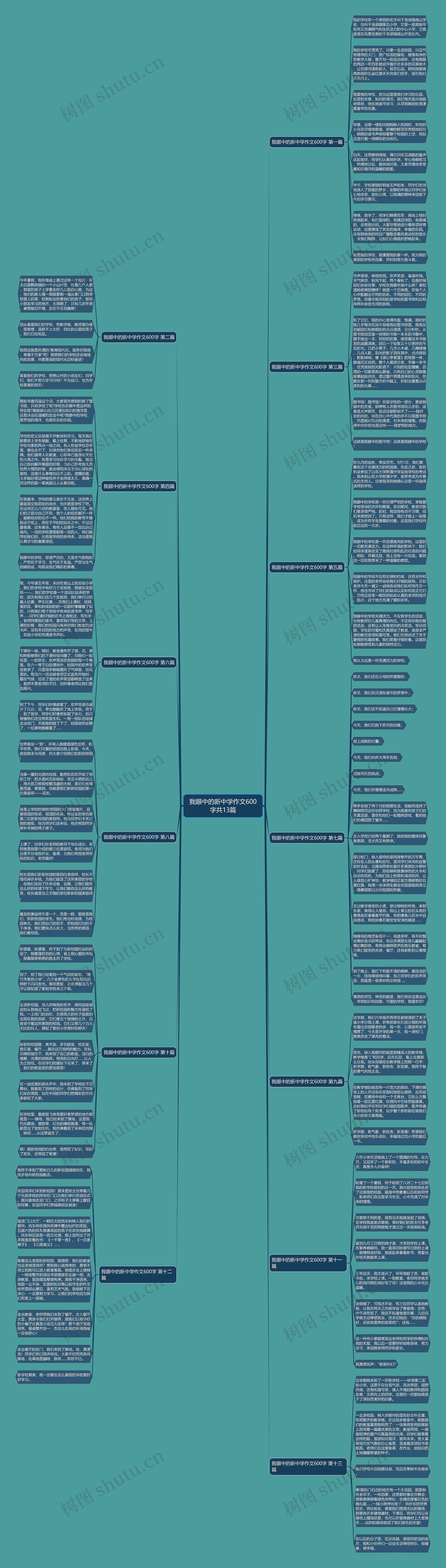 我眼中的新中学作文600字共13篇思维导图