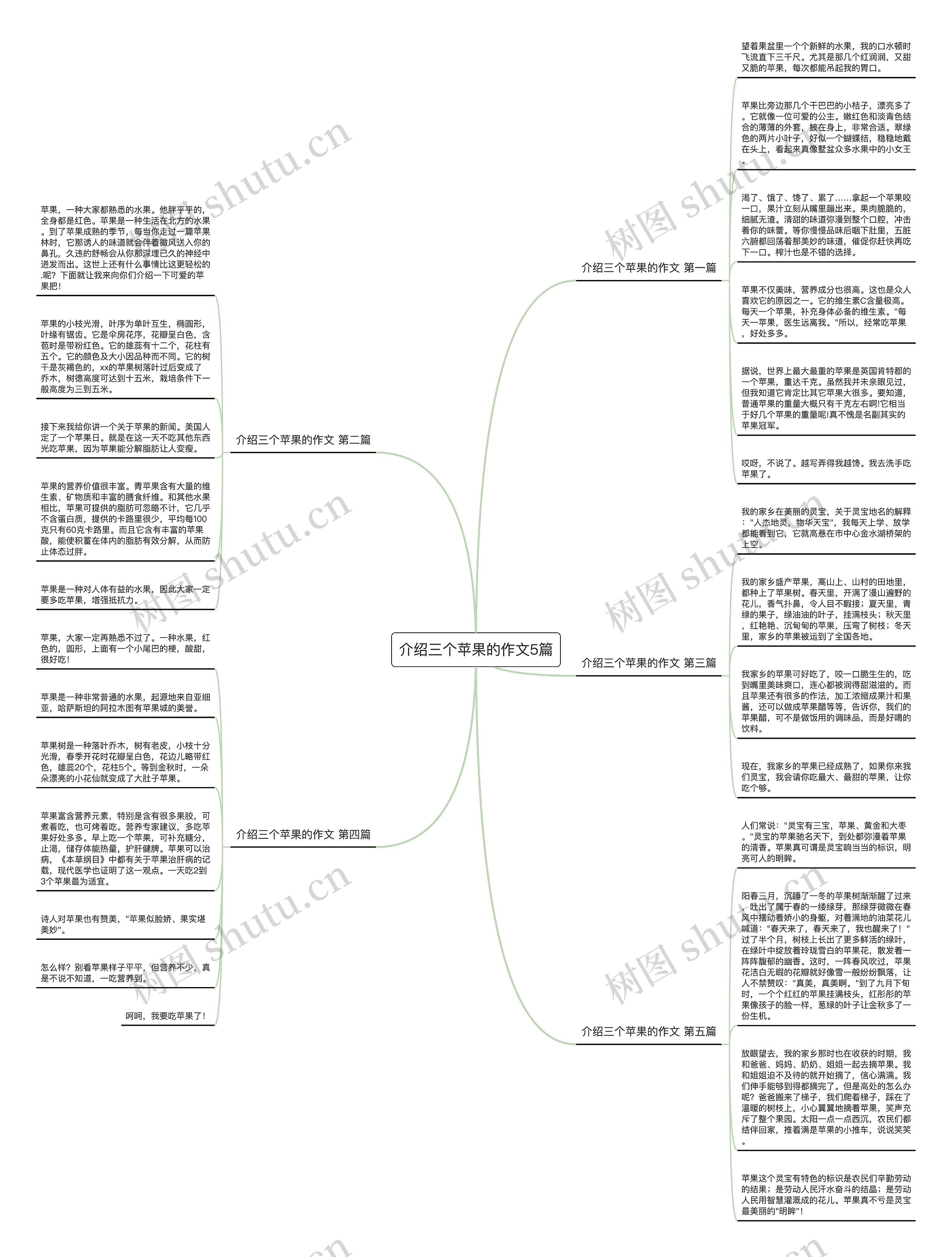 介绍三个苹果的作文5篇思维导图