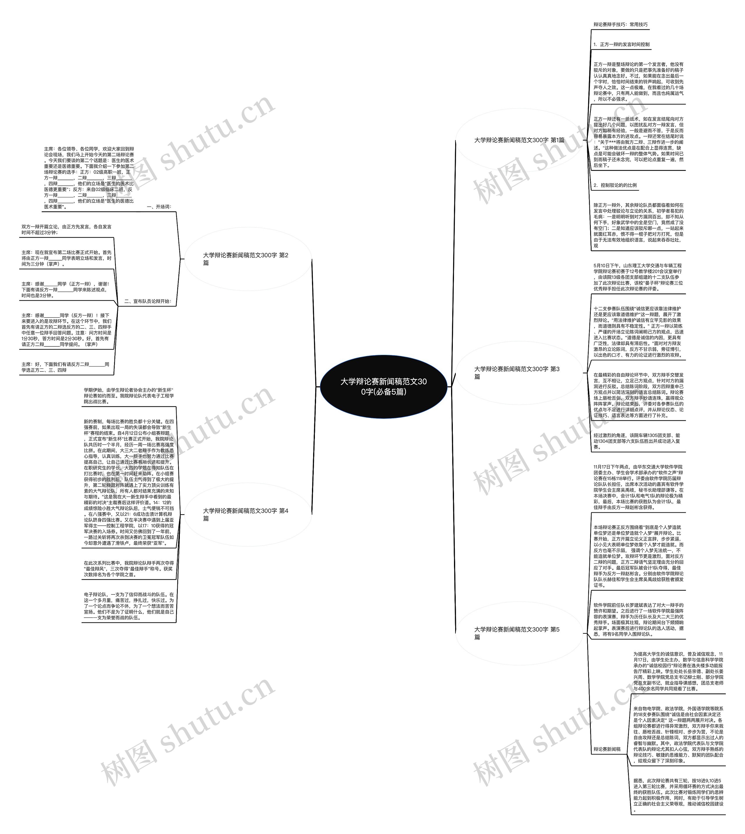 大学辩论赛新闻稿范文300字(必备5篇)