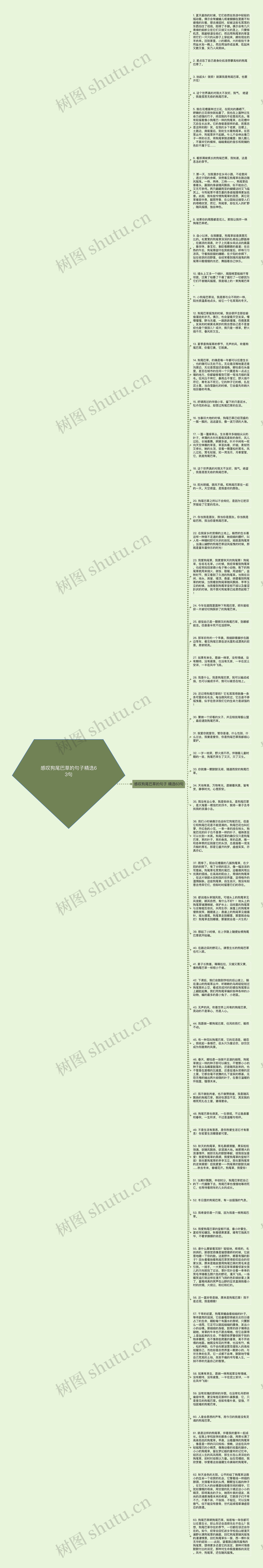 感叹狗尾巴草的句子精选63句思维导图