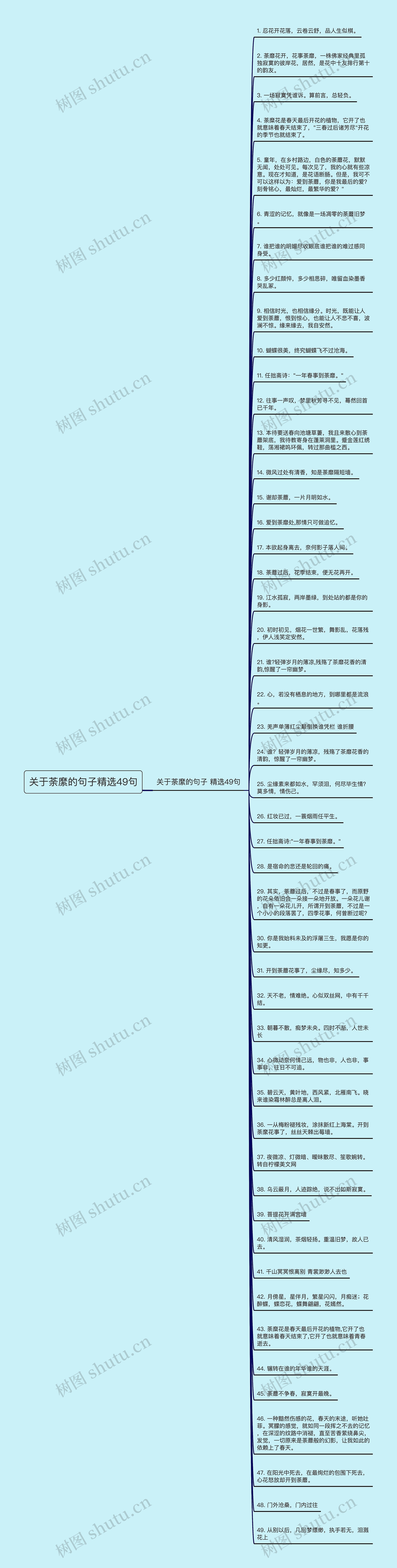 关于荼縻的句子精选49句