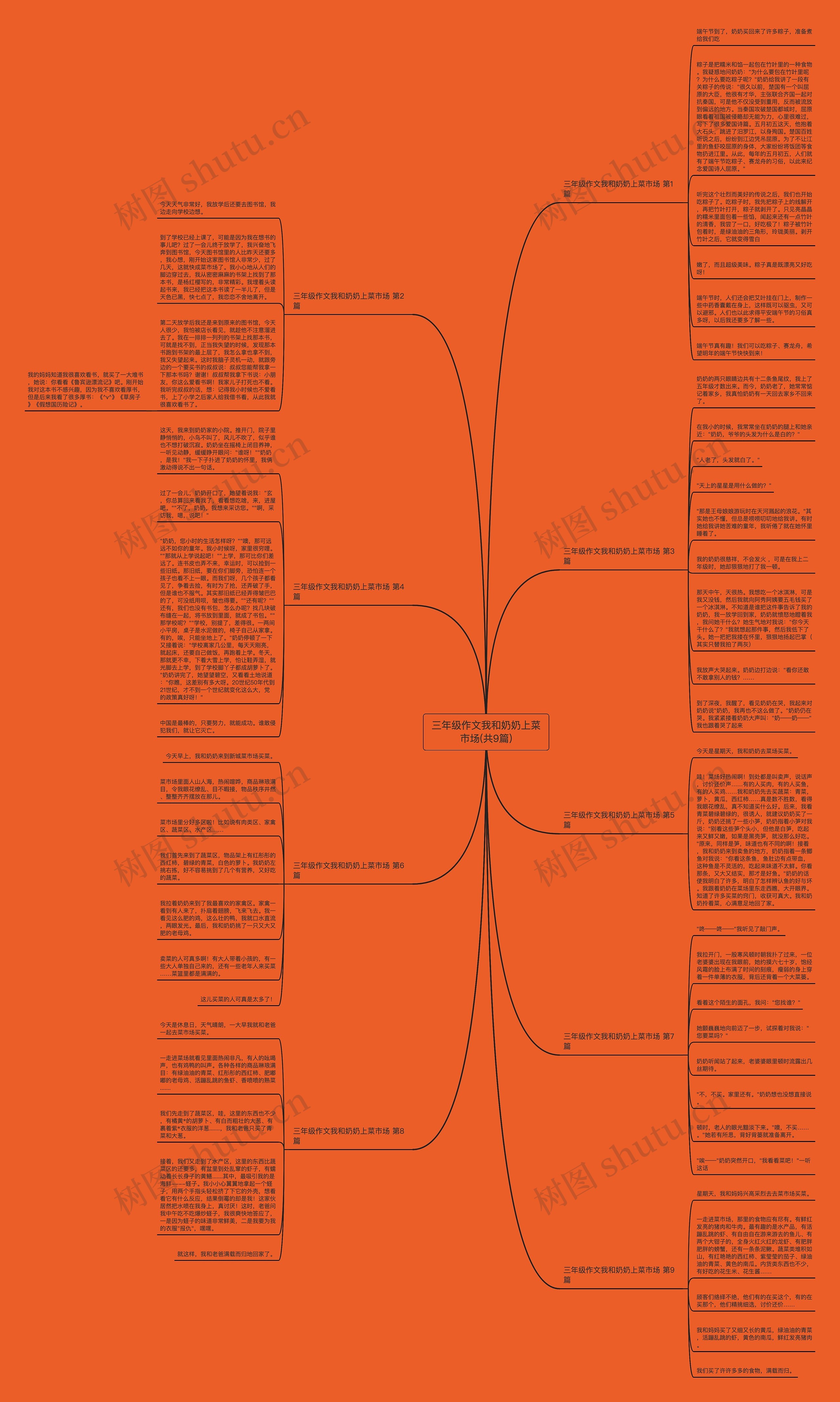 三年级作文我和奶奶上菜市场(共9篇)思维导图