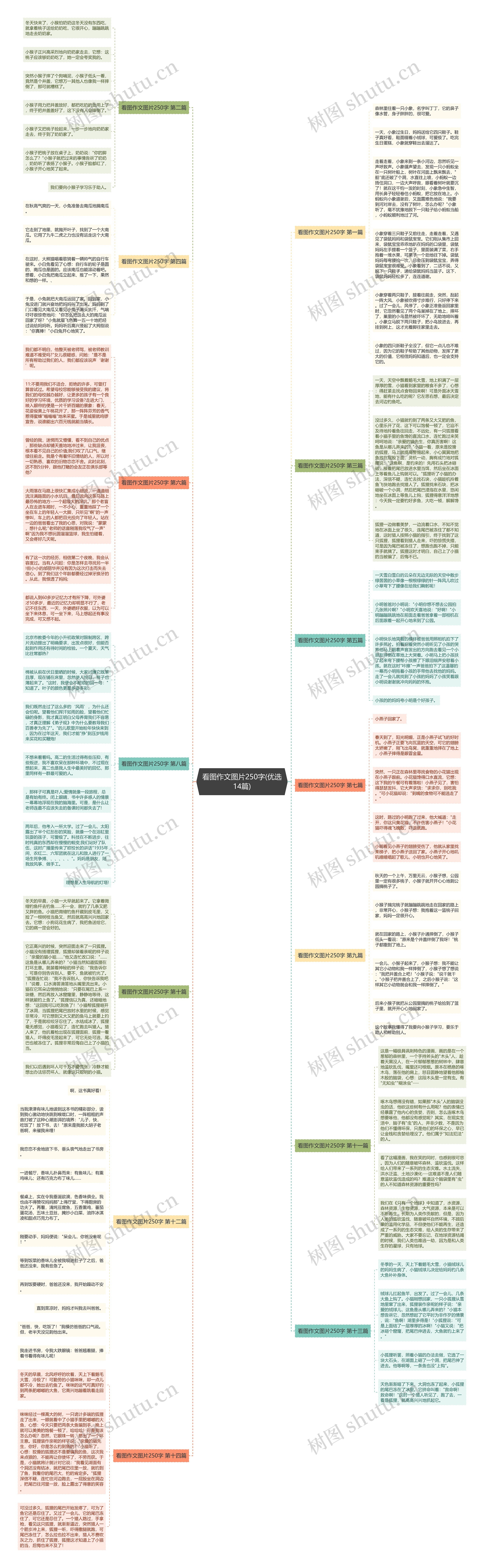 看图作文图片250字(优选14篇)思维导图