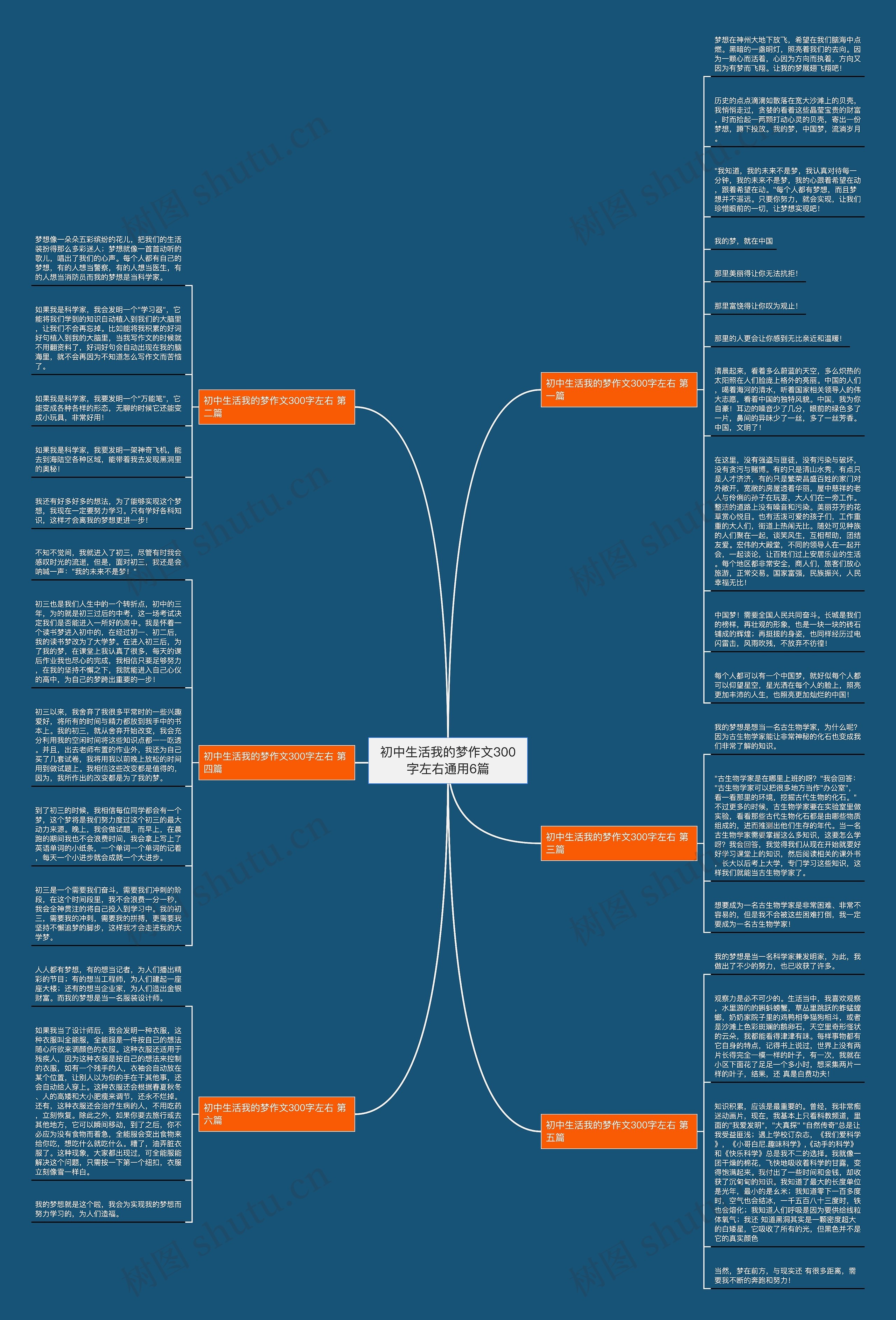 初中生活我的梦作文300字左右通用6篇思维导图