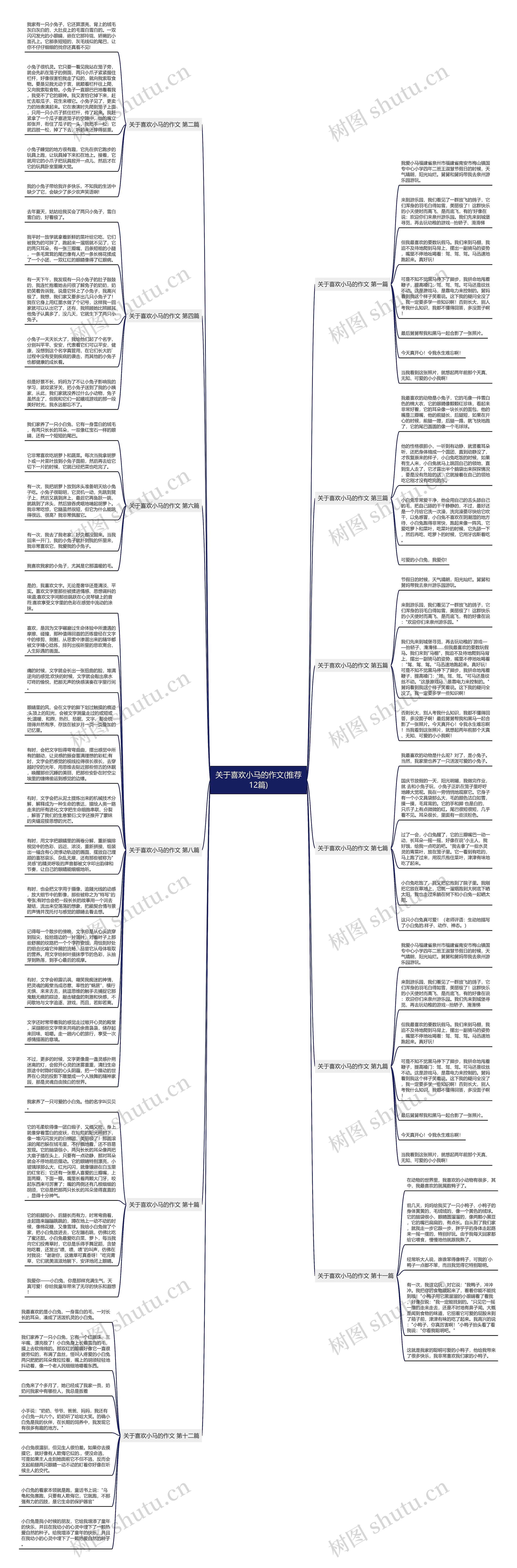 关于喜欢小马的作文(推荐12篇)思维导图