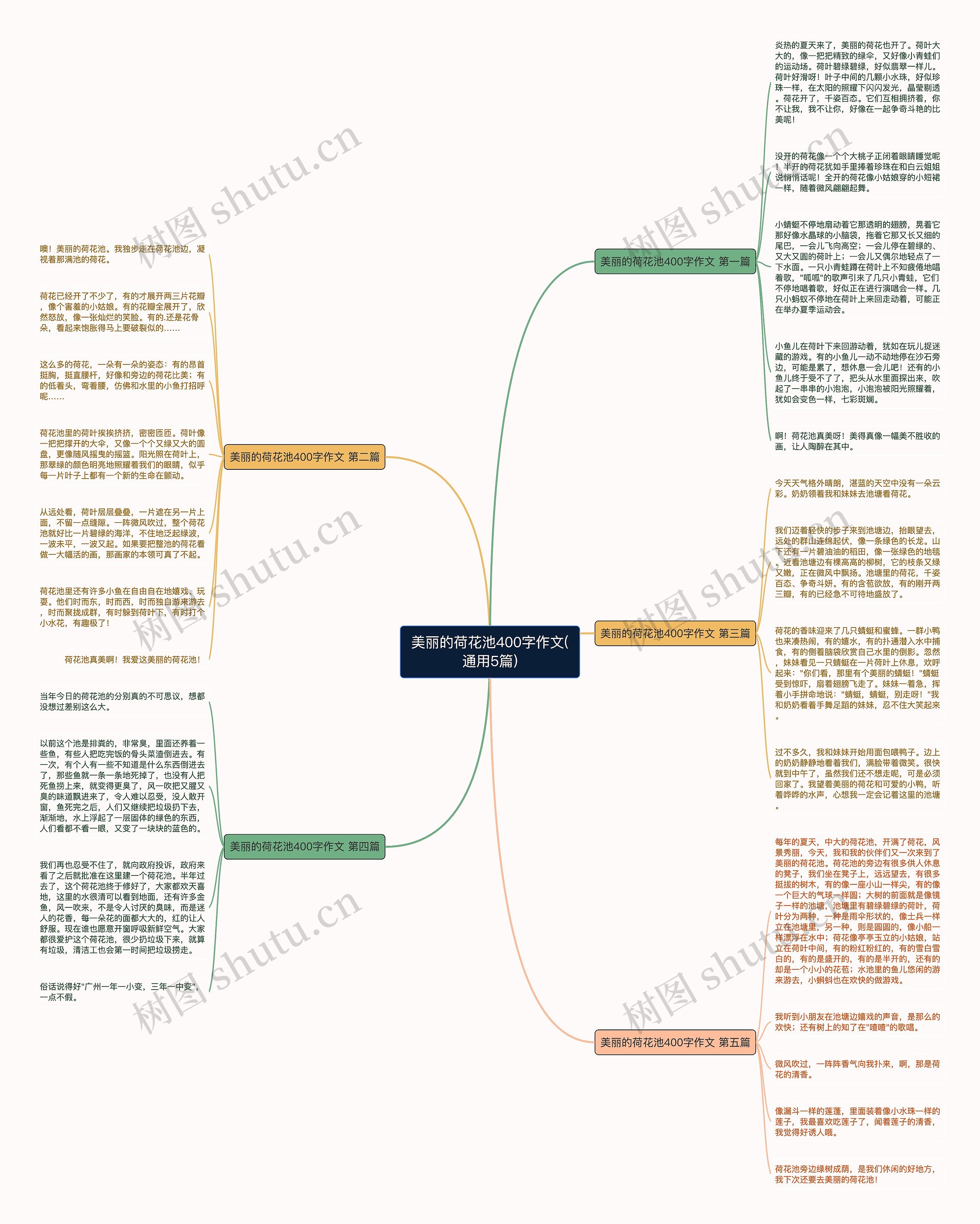 美丽的荷花池400字作文(通用5篇)思维导图