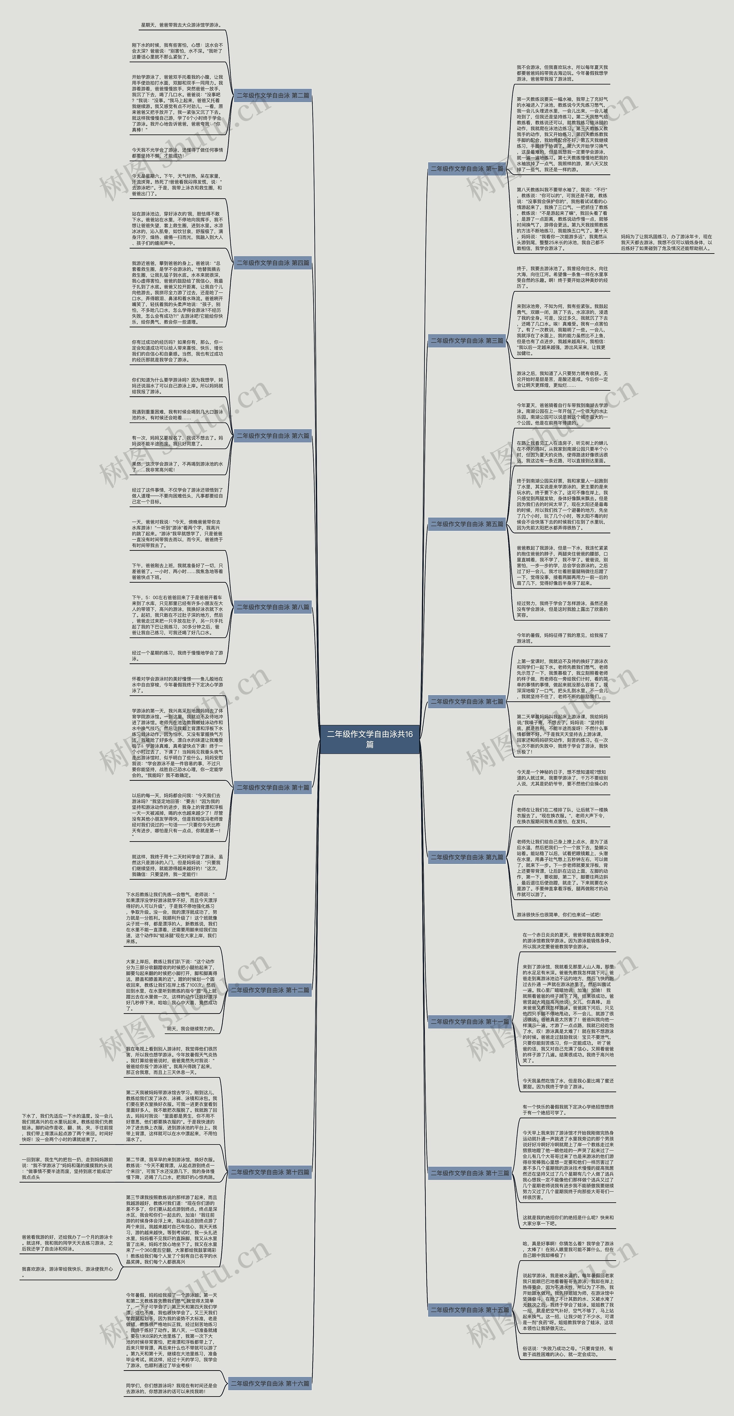 二年级作文学自由泳共16篇