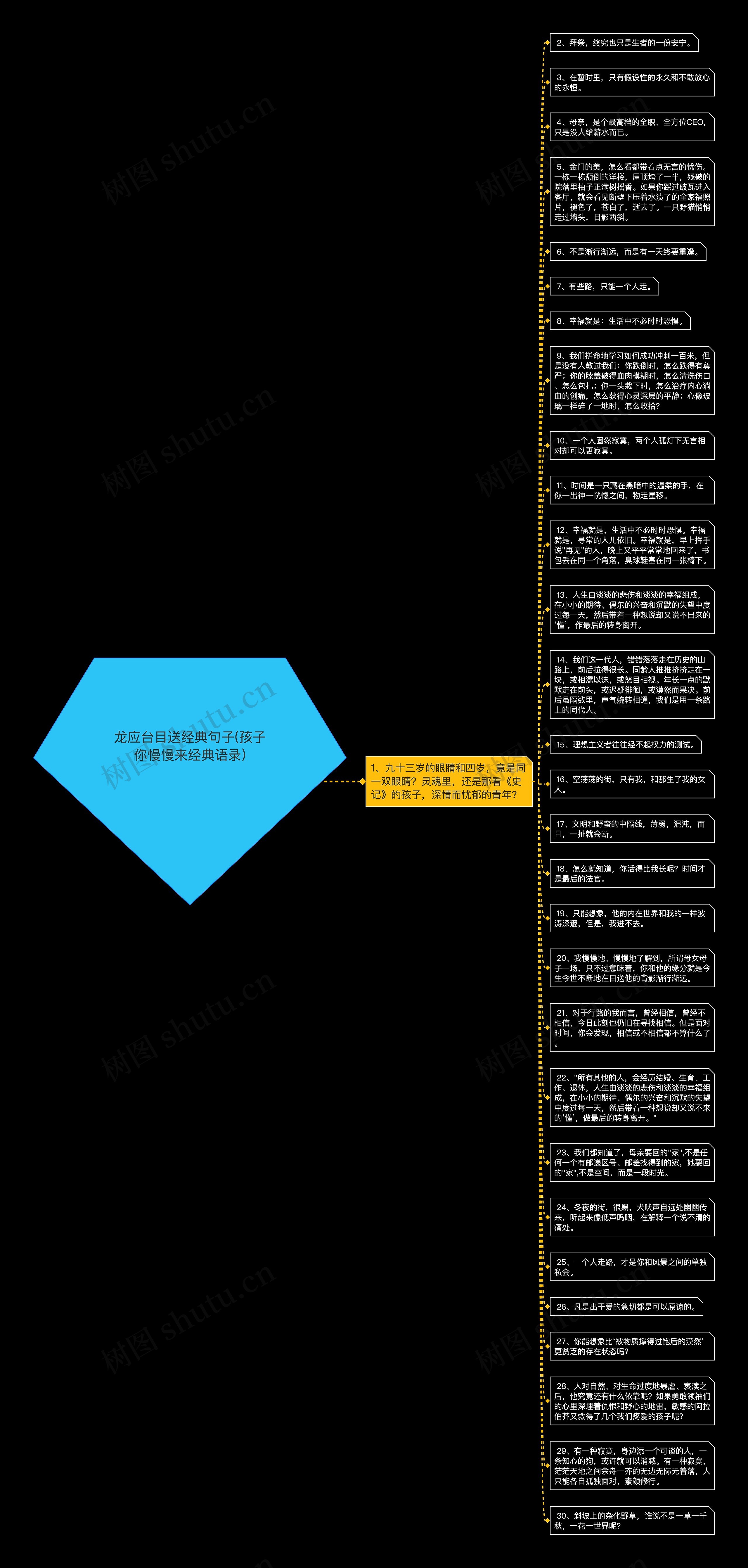 龙应台目送经典句子(孩子你慢慢来经典语录)思维导图