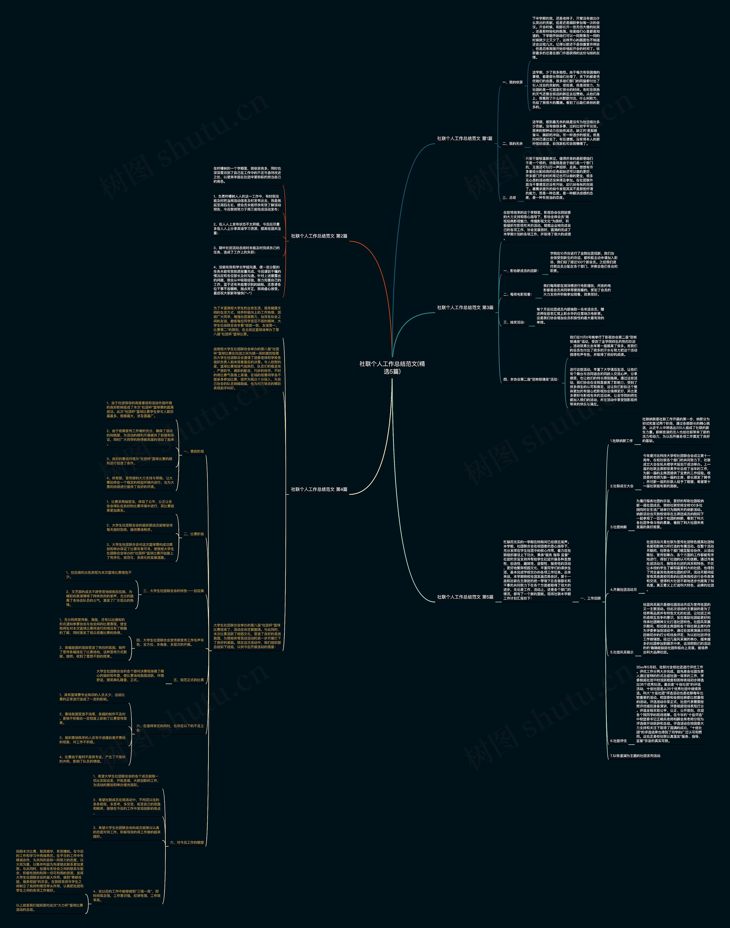 社联个人工作总结范文(精选5篇)思维导图
