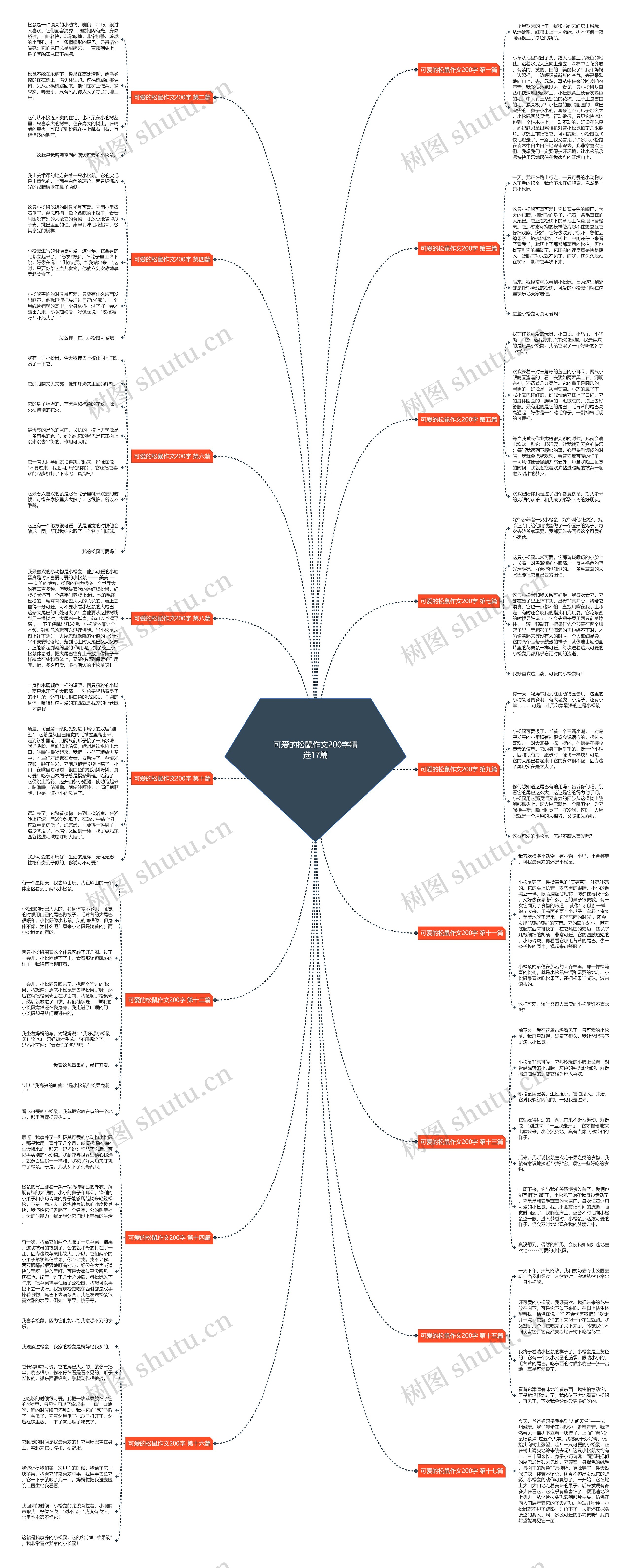 可爱的松鼠作文200字精选17篇 可爱的松鼠作文200字精选17篇