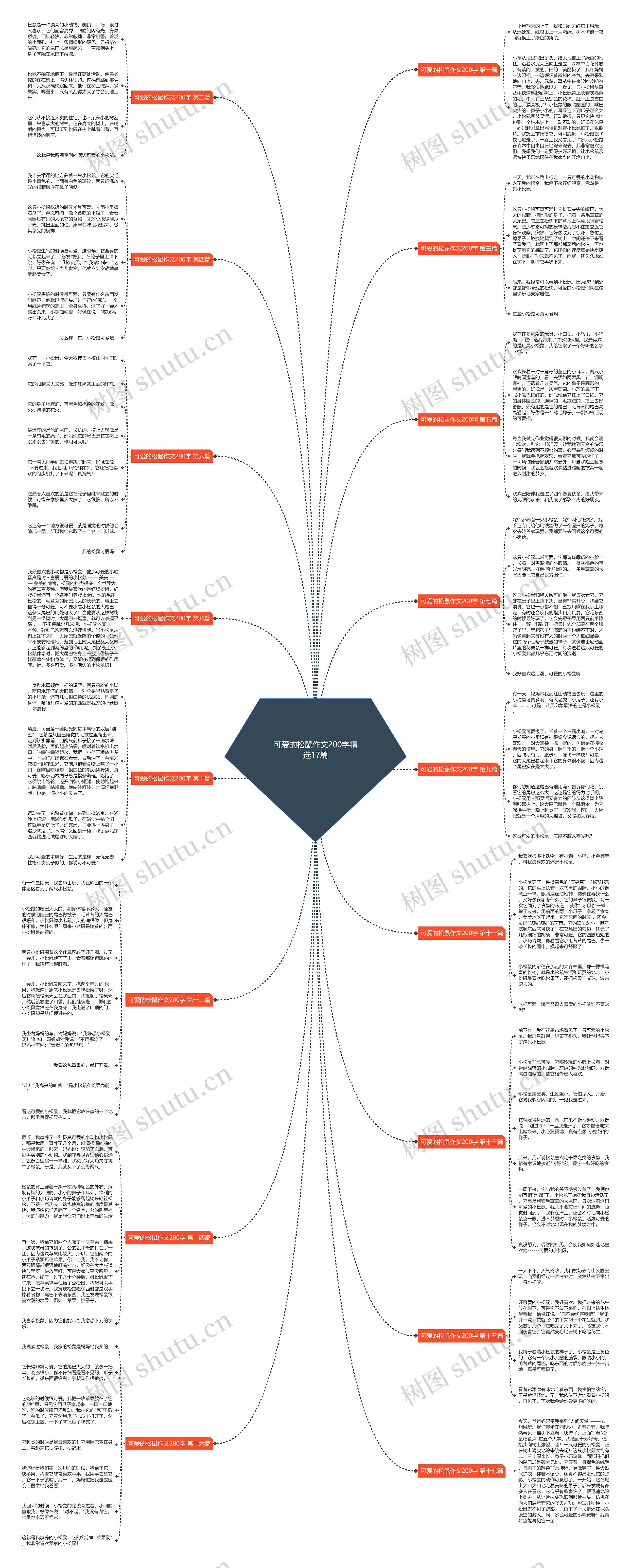可爱的松鼠作文200字精选17篇思维导图
