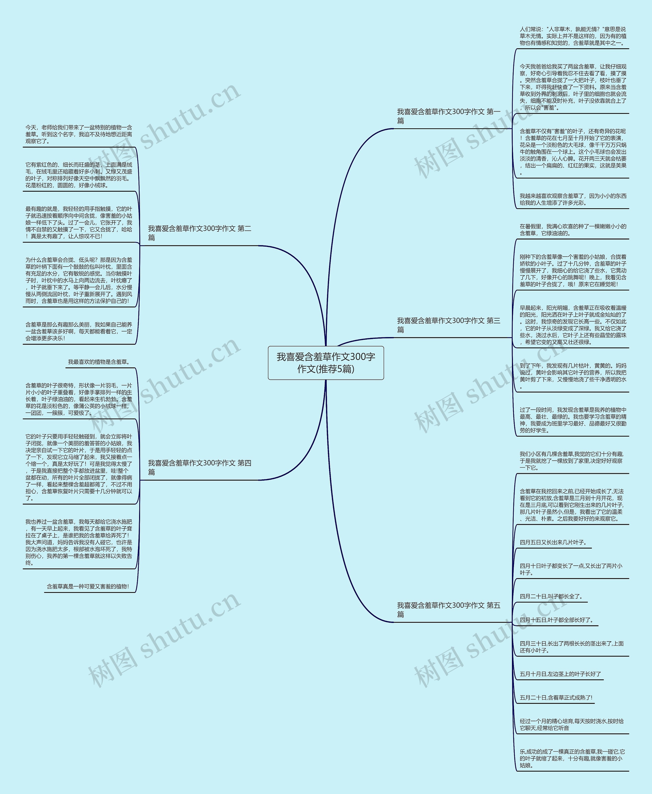 我喜爱含羞草作文300字作文(推荐5篇)思维导图