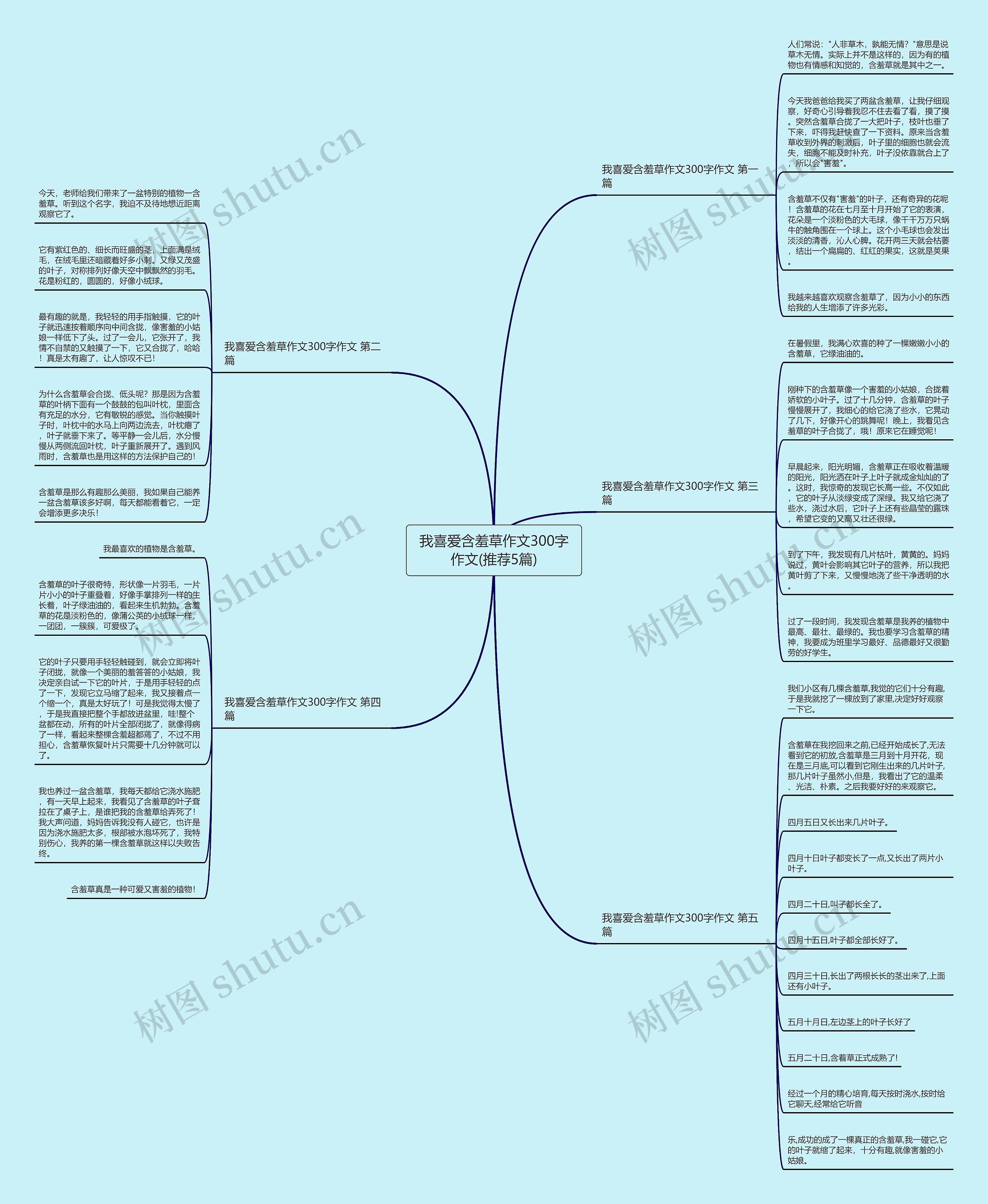 我喜爱含羞草作文300字作文(推荐5篇) 我喜爱含羞草作文300字作文(推荐5篇)