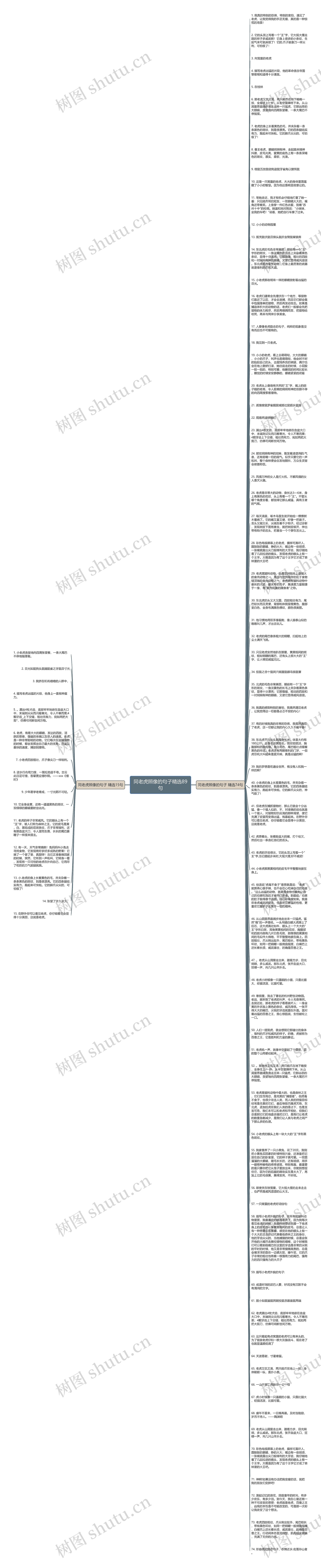 同老虎照像的句子精选89句思维导图