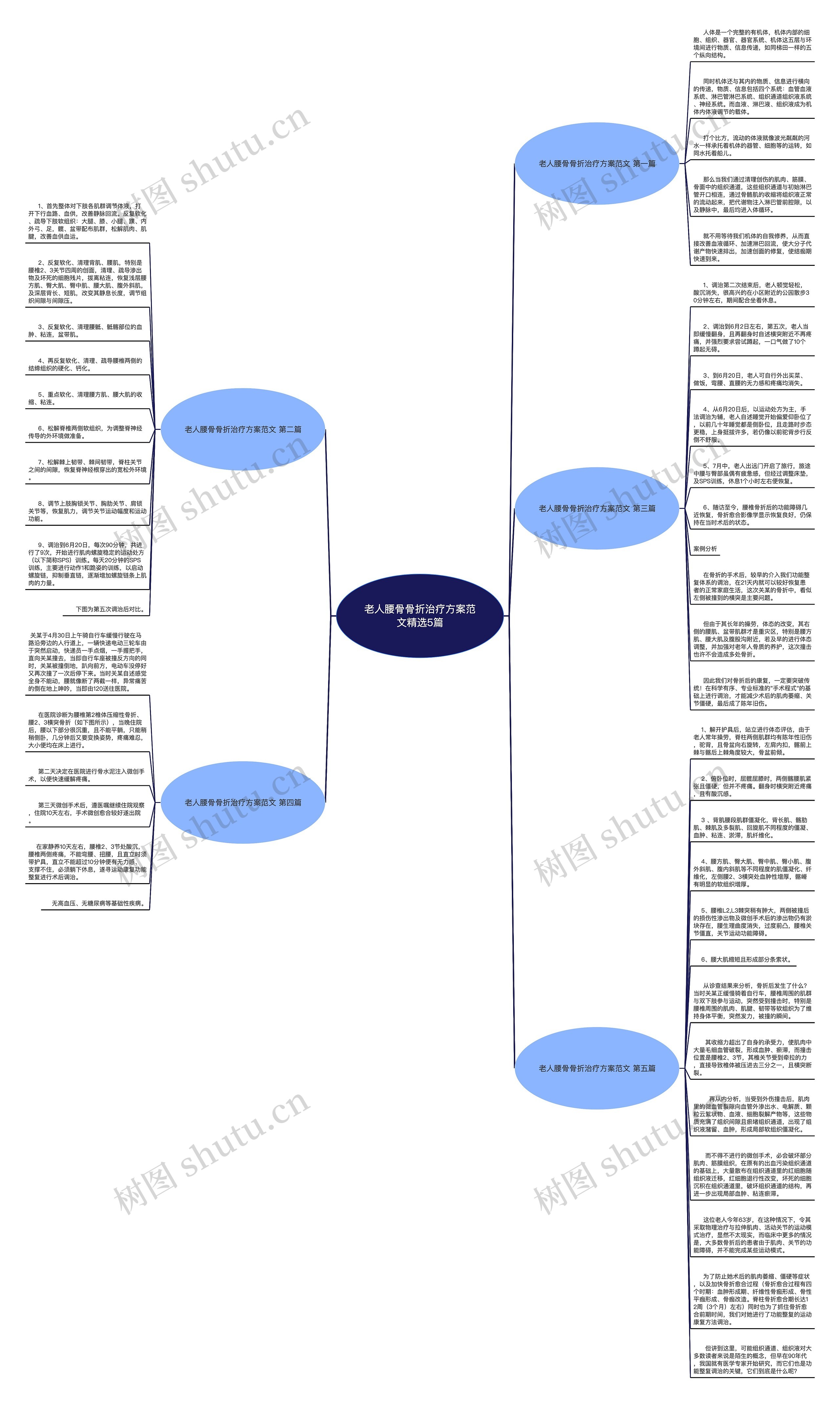 老人腰骨骨折治疗方案范文精选5篇思维导图