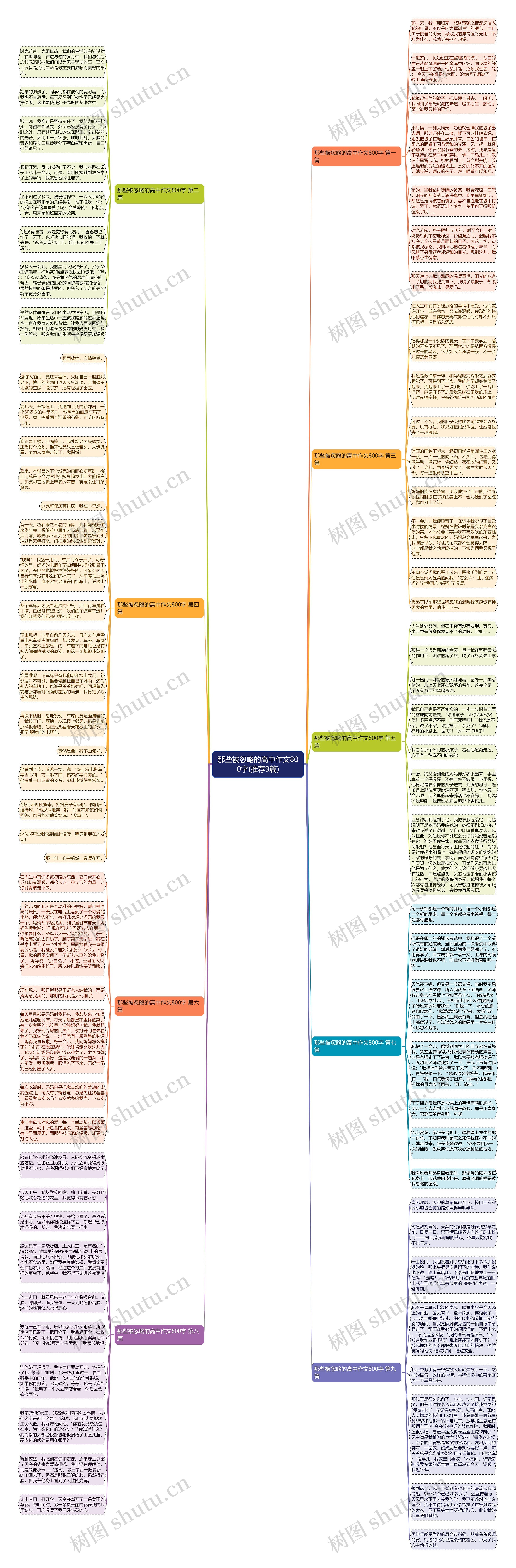 那些被忽略的高中作文800字(推荐9篇)思维导图