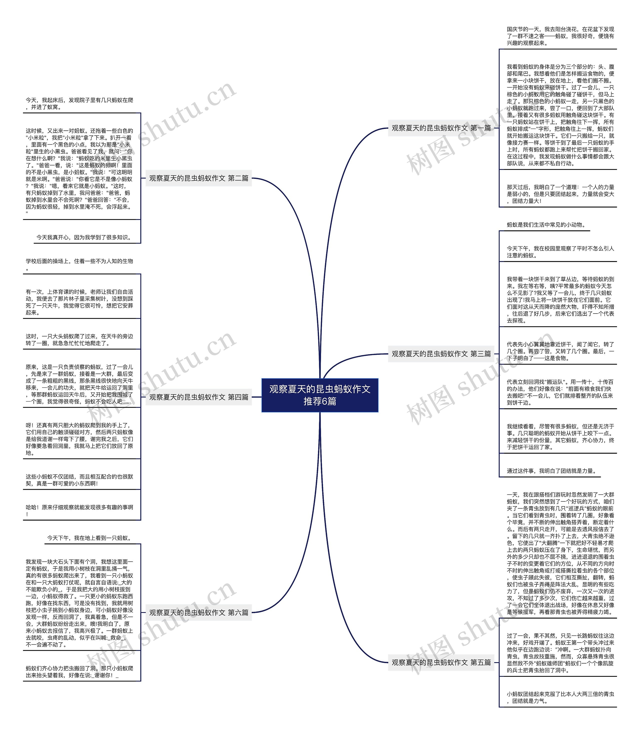 观察夏天的昆虫蚂蚁作文推荐6篇思维导图