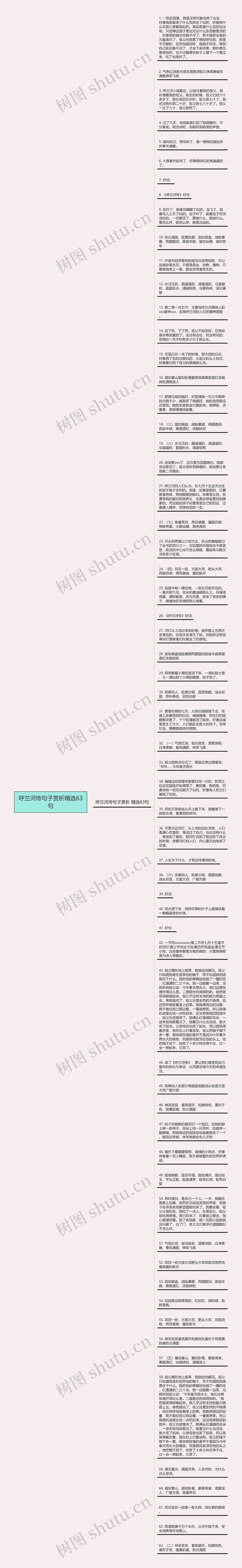呼兰河传句子赏析精选63句