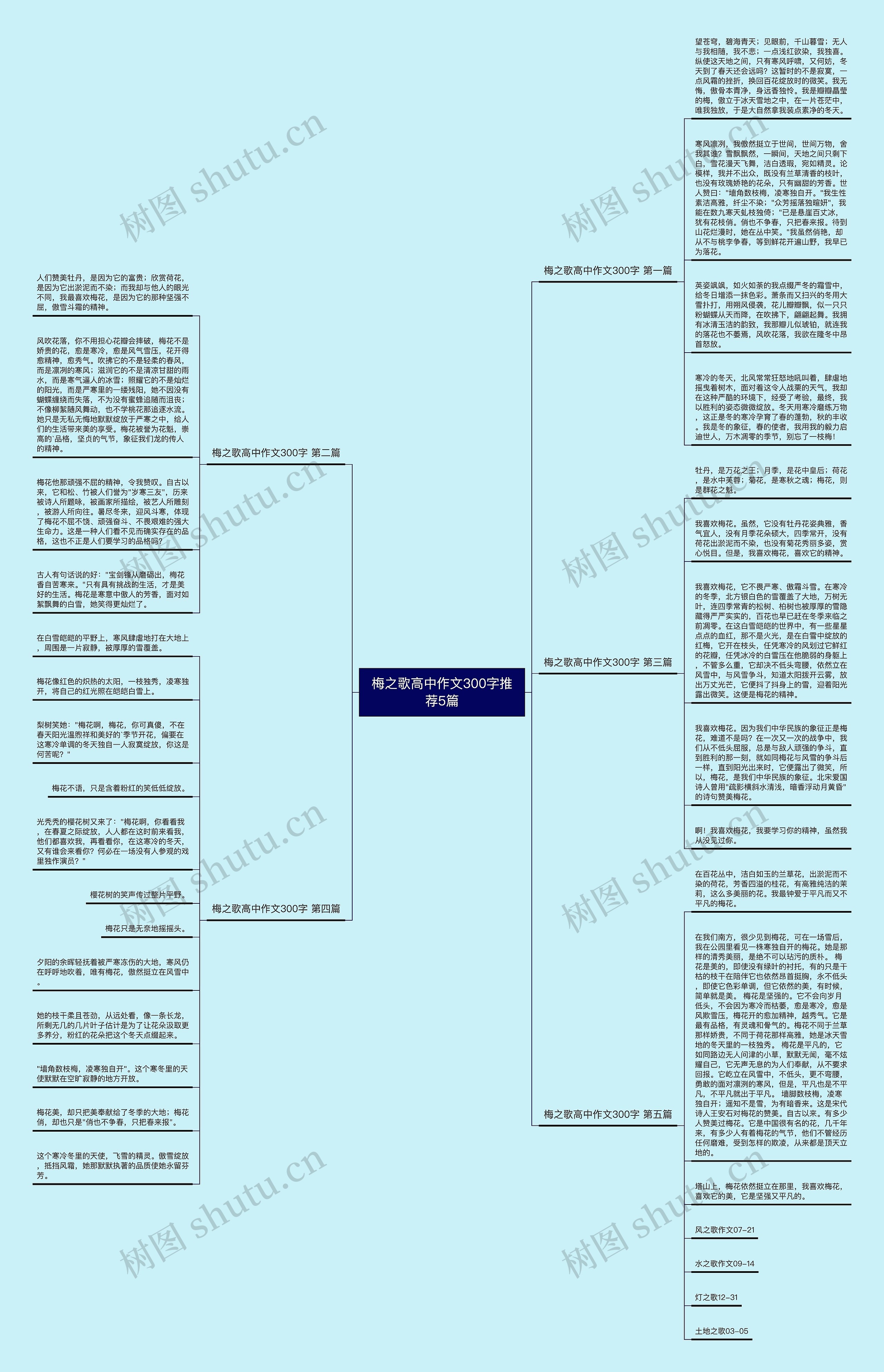 梅之歌高中作文300字推荐5篇思维导图