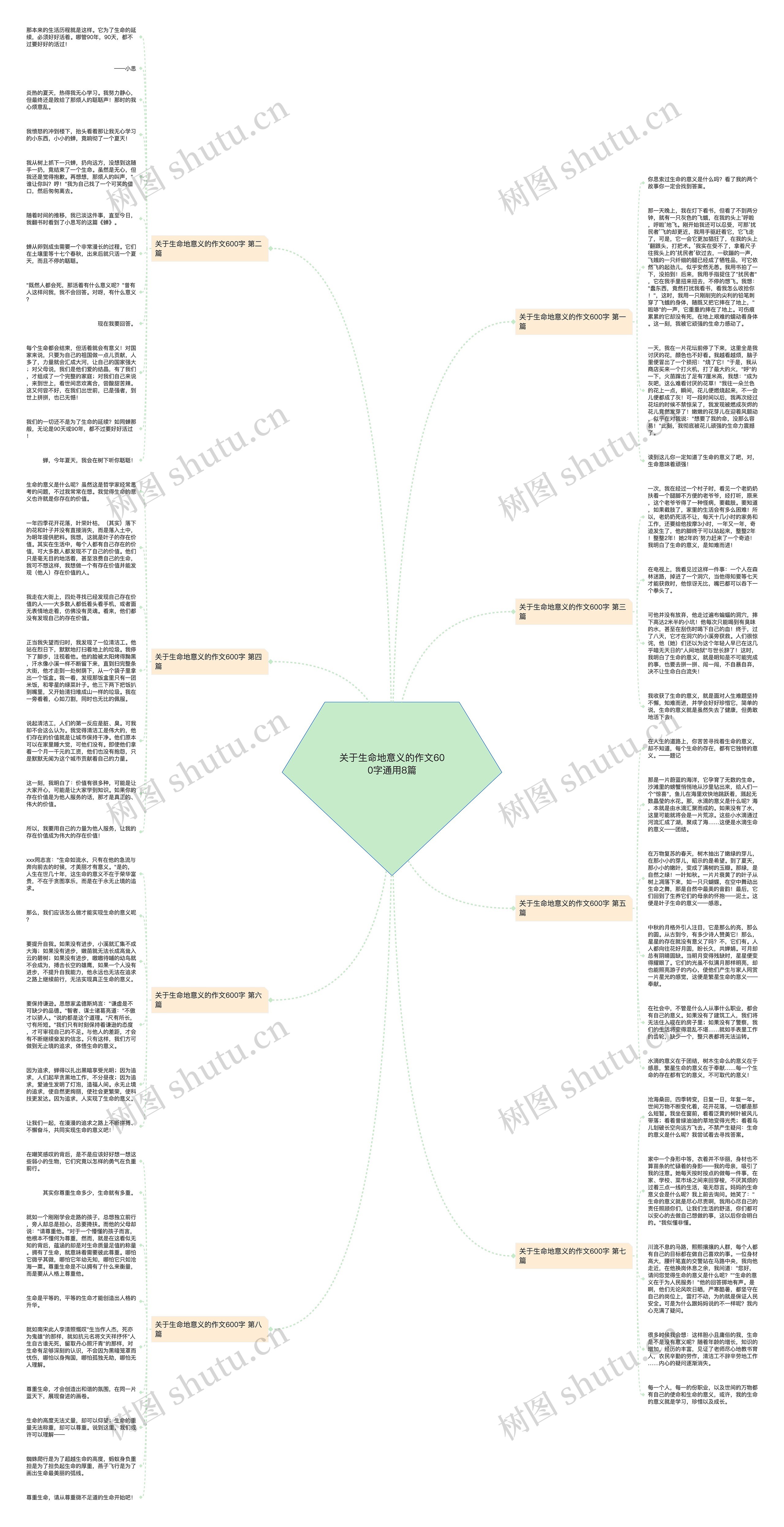 关于生命地意义的作文600字通用8篇思维导图