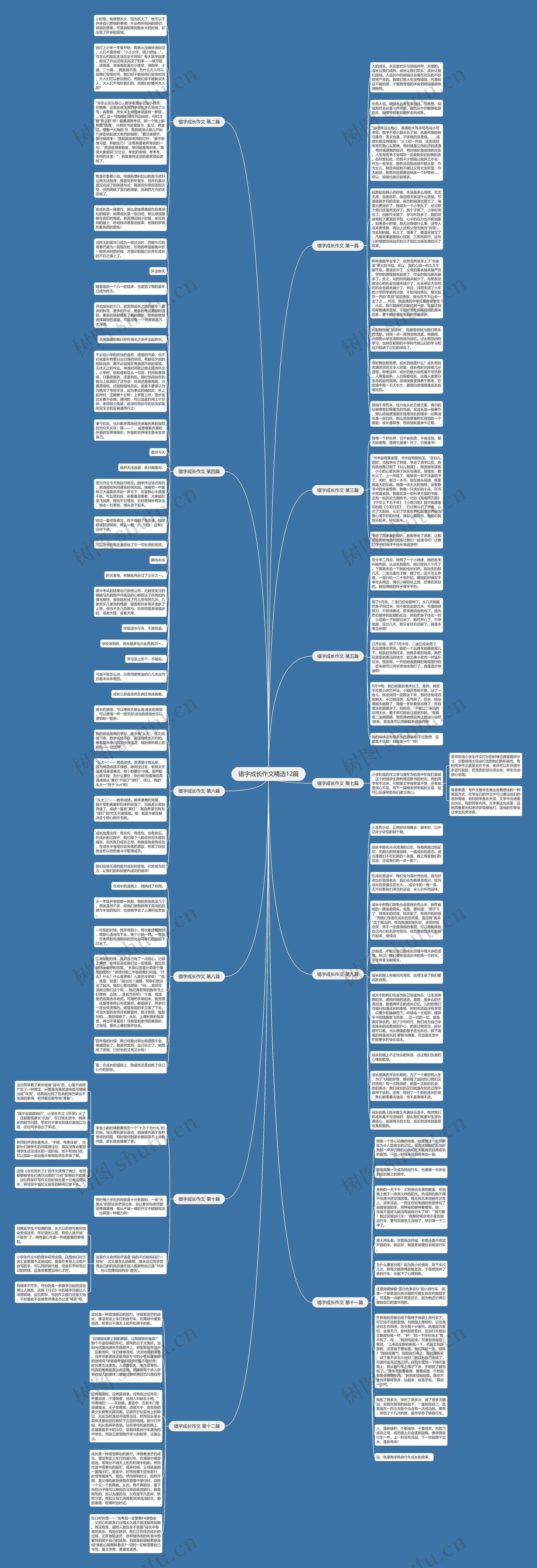 错字成长作文精选12篇思维导图