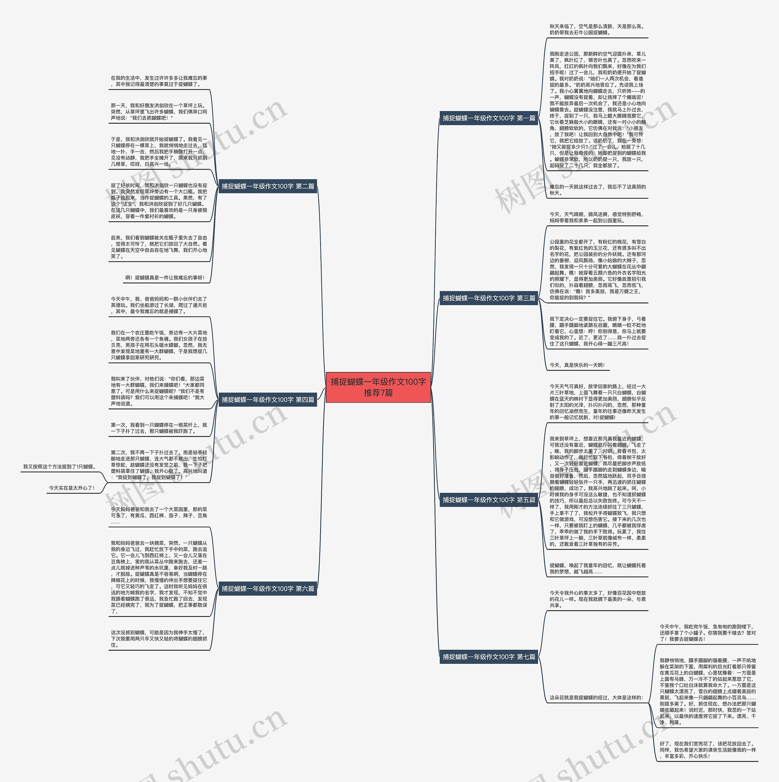 捕捉蝴蝶一年级作文100字推荐7篇思维导图