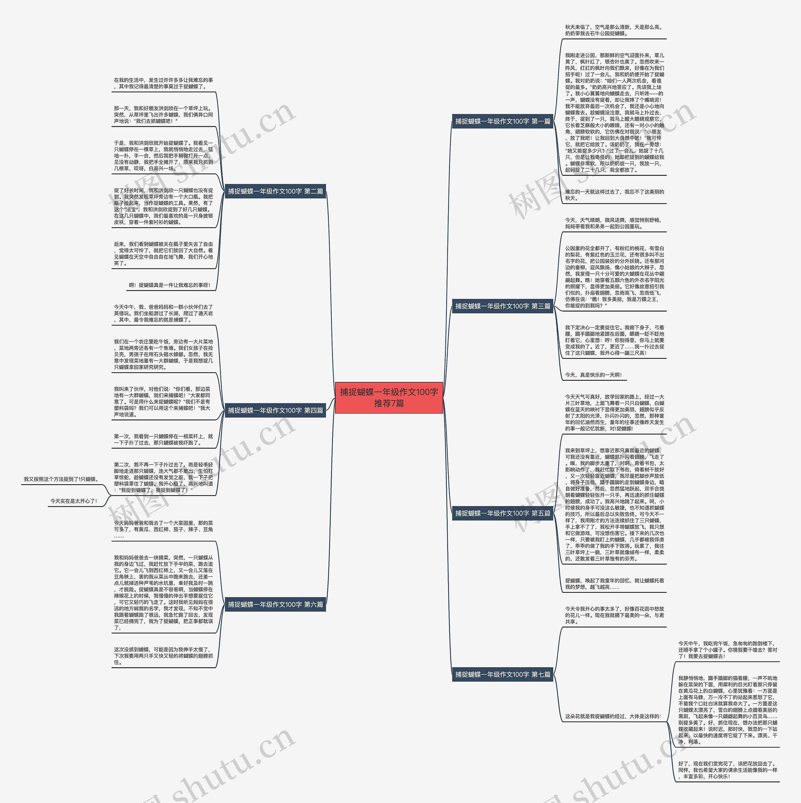 捕捉蝴蝶一年级作文100字推荐7篇 捕捉蝴蝶一年级作文100字推荐7篇