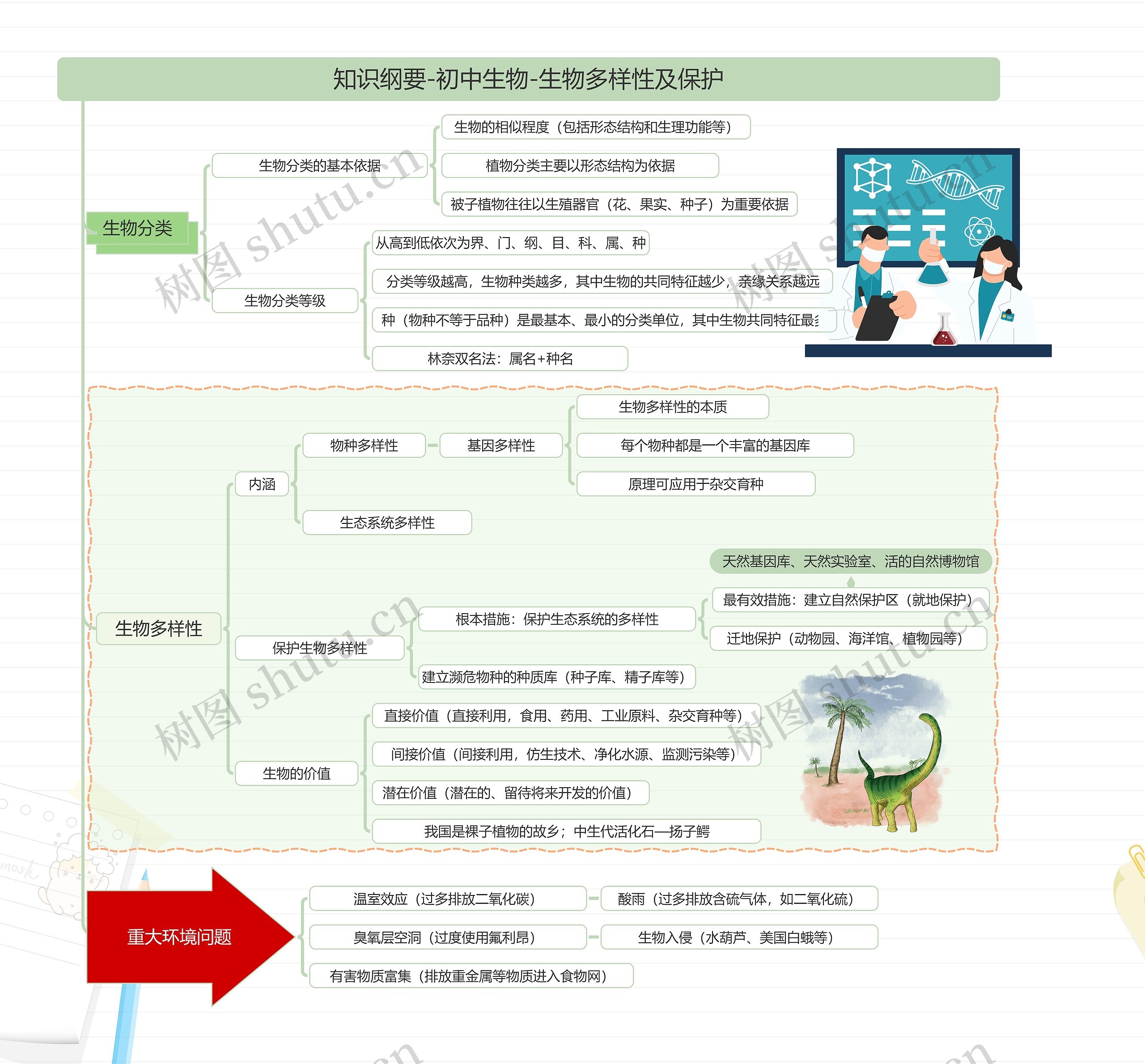 知识纲要-初中生物-生物多样性及保护思维导图