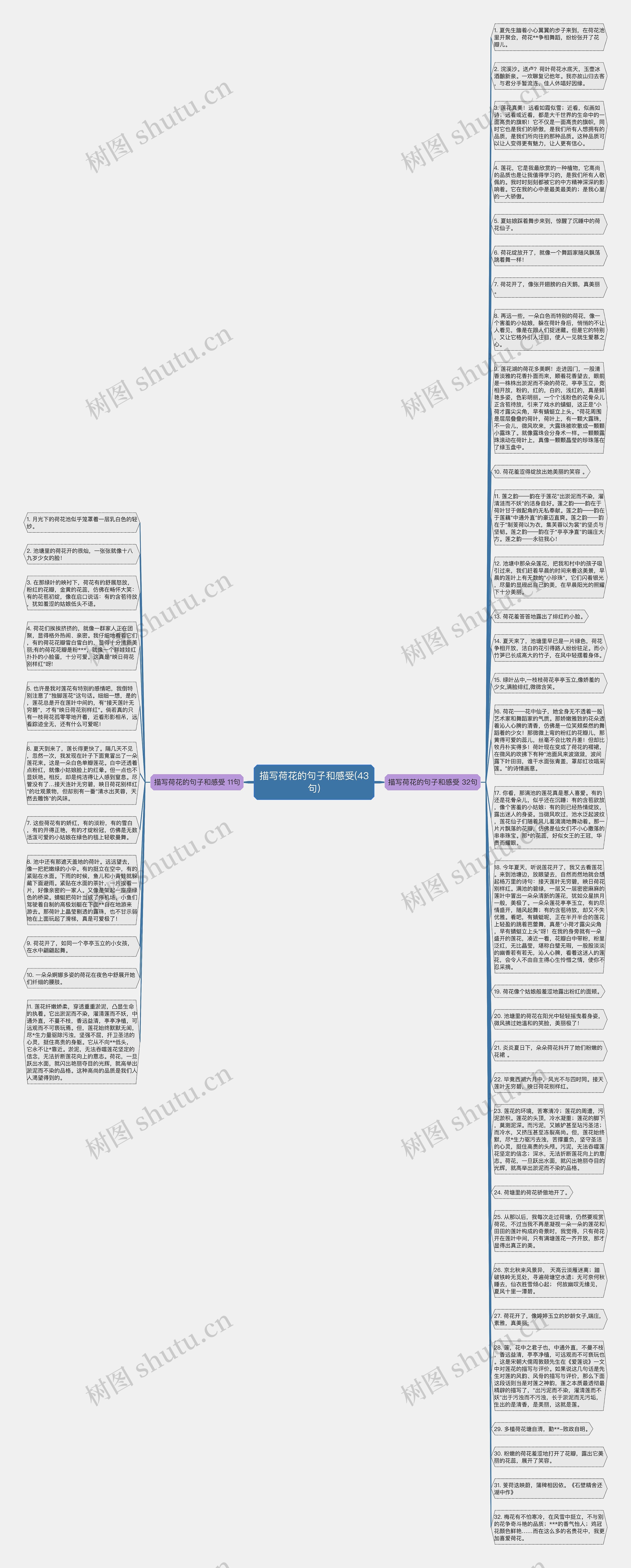 描写荷花的句子和感受(43句)思维导图