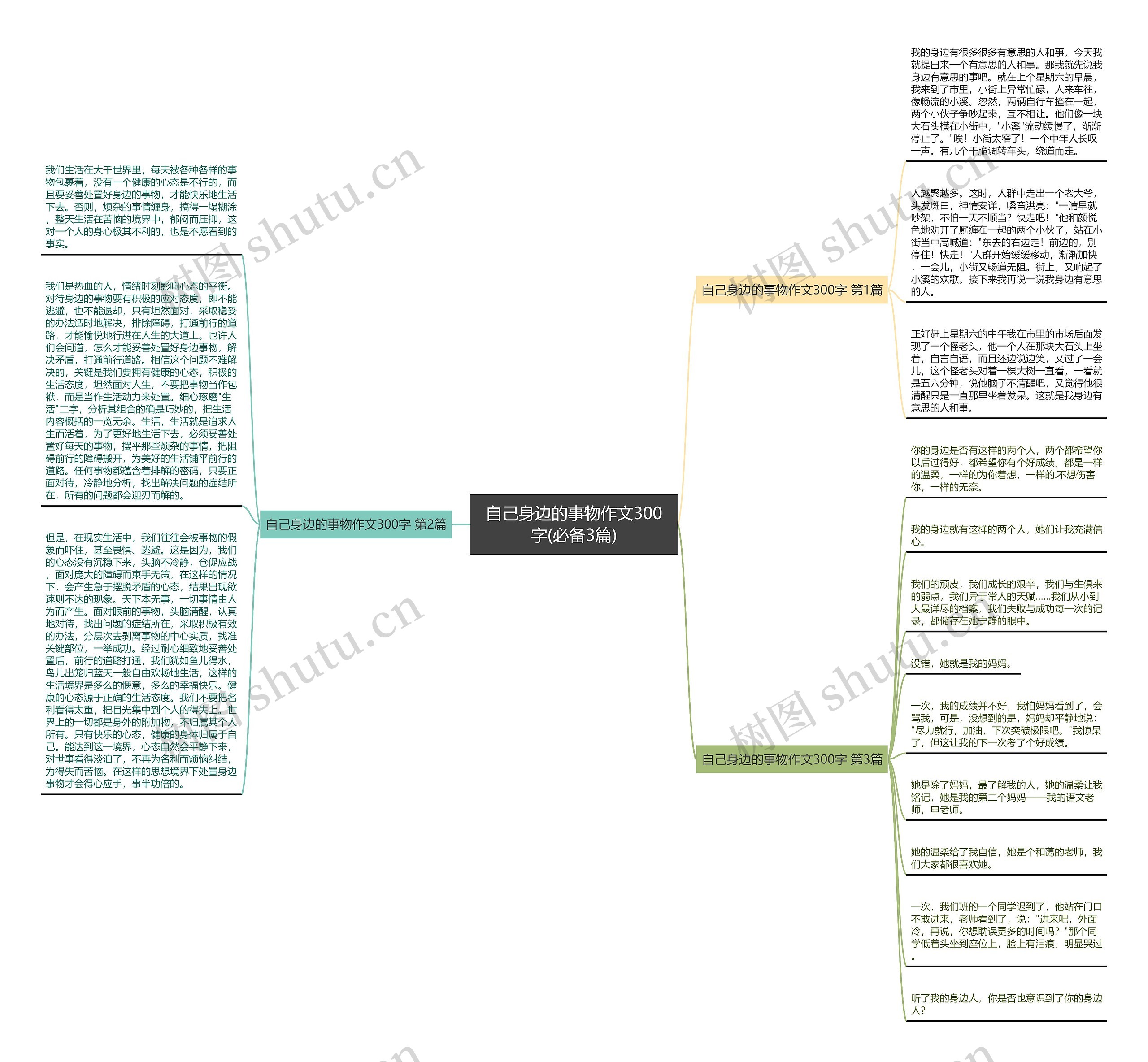 自己身边的事物作文300字(必备3篇) 自己身边的事物作文300字(必备3篇)