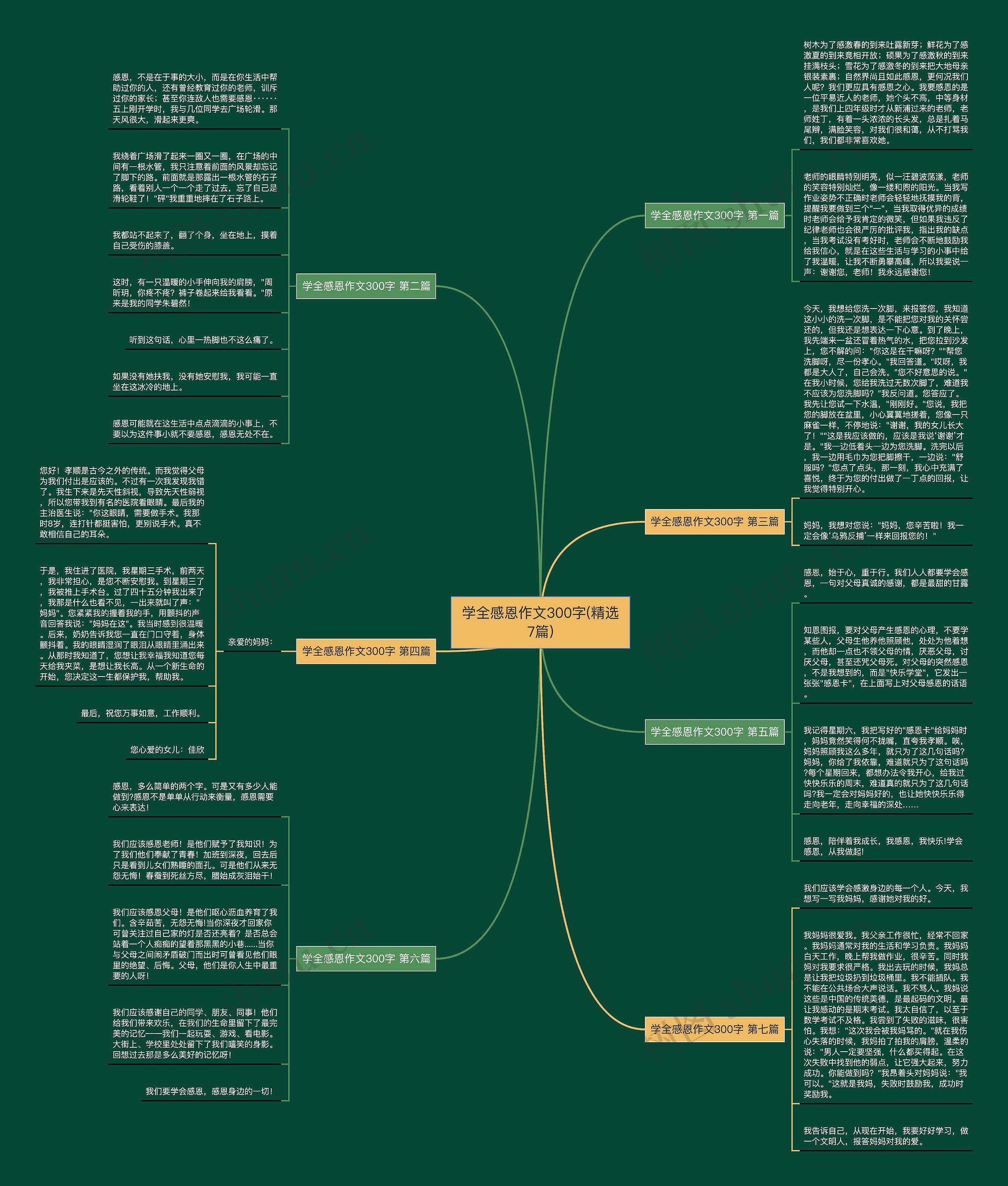 学全感恩作文300字(精选7篇)
