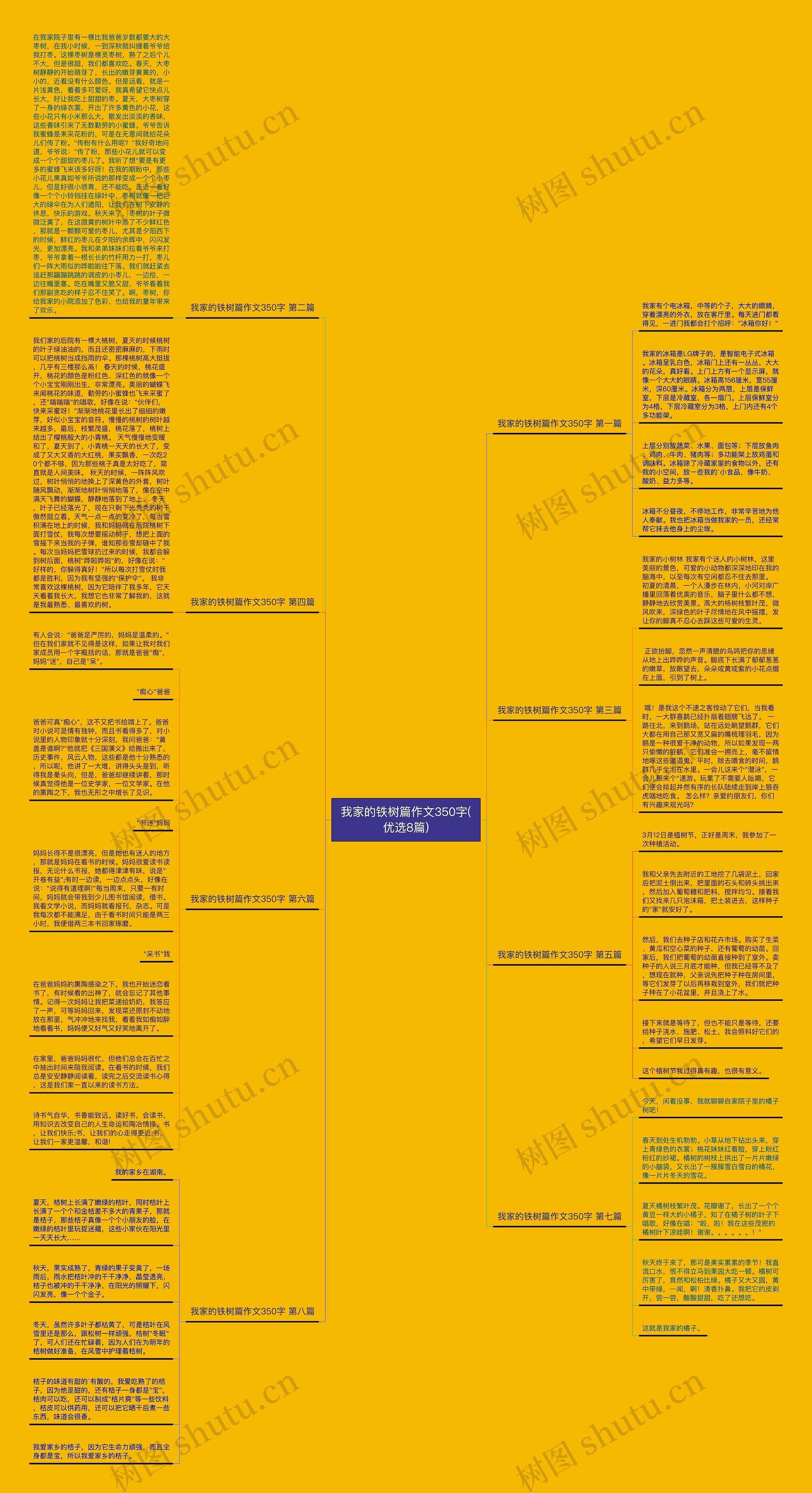 我家的铁树篇作文350字(优选8篇)思维导图