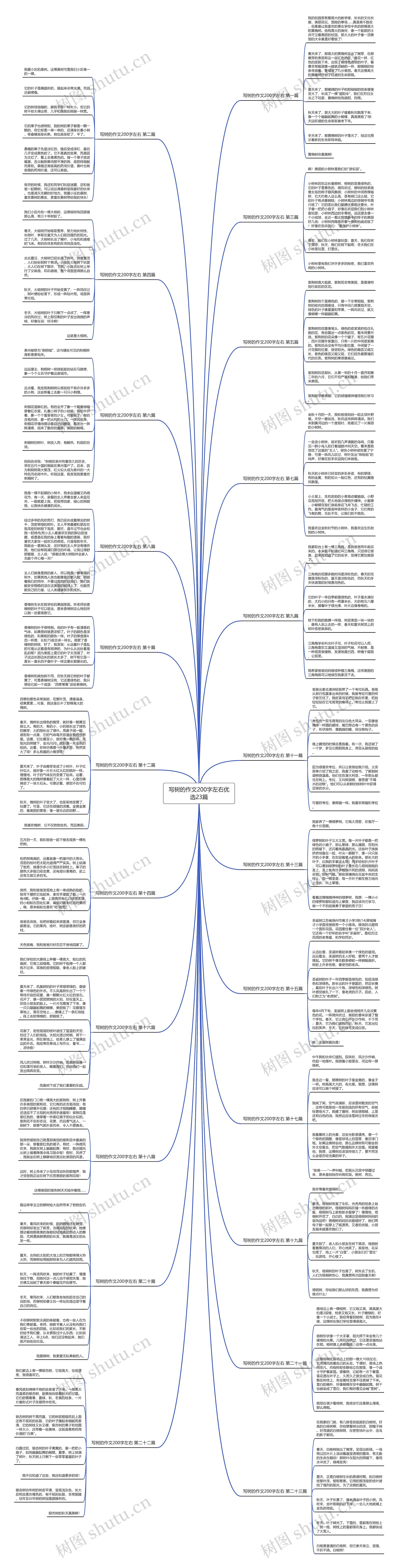 写树的作文200字左右优选23篇思维导图