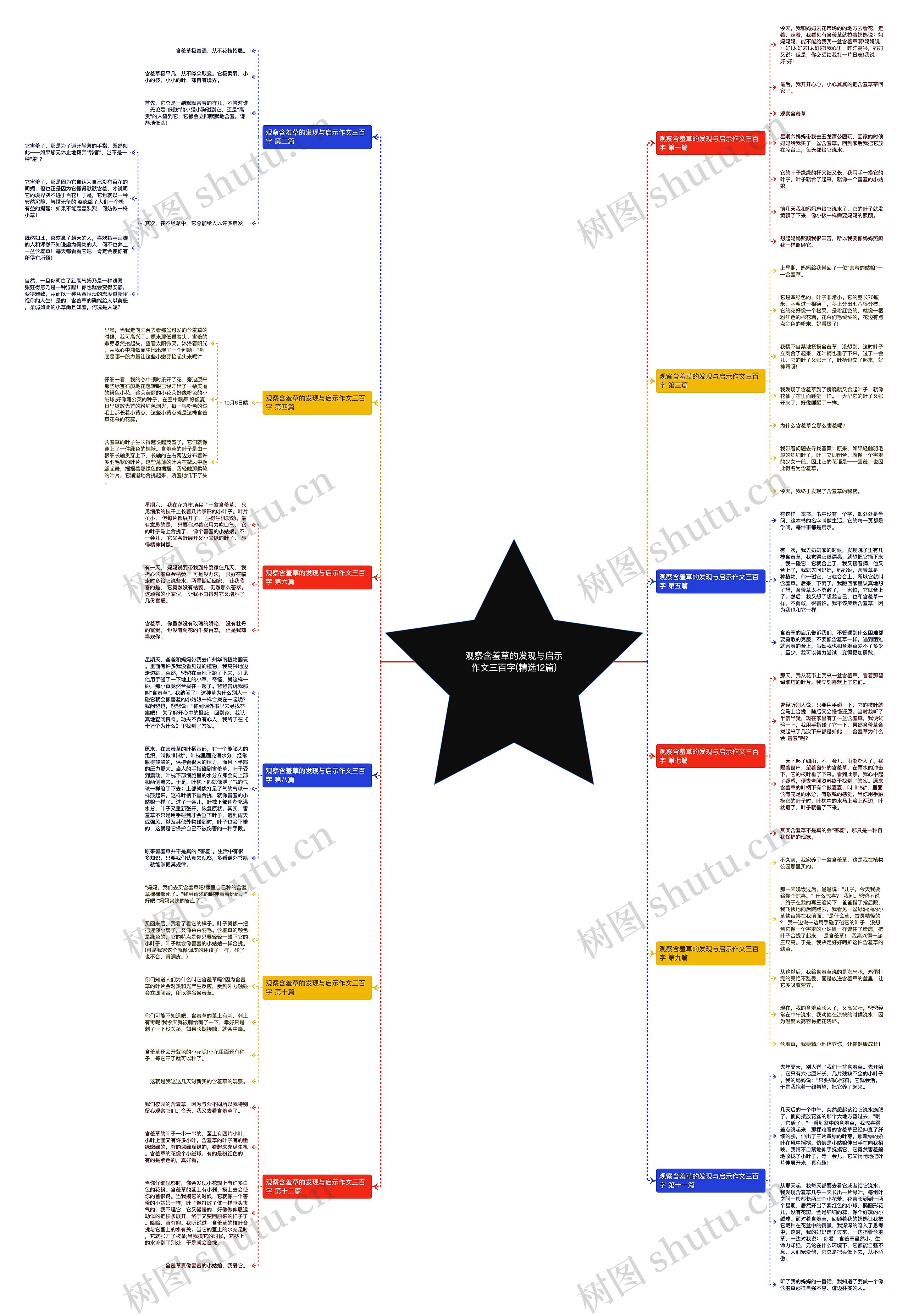 观察含羞草的发现与启示作文三百字(精选12篇)思维导图