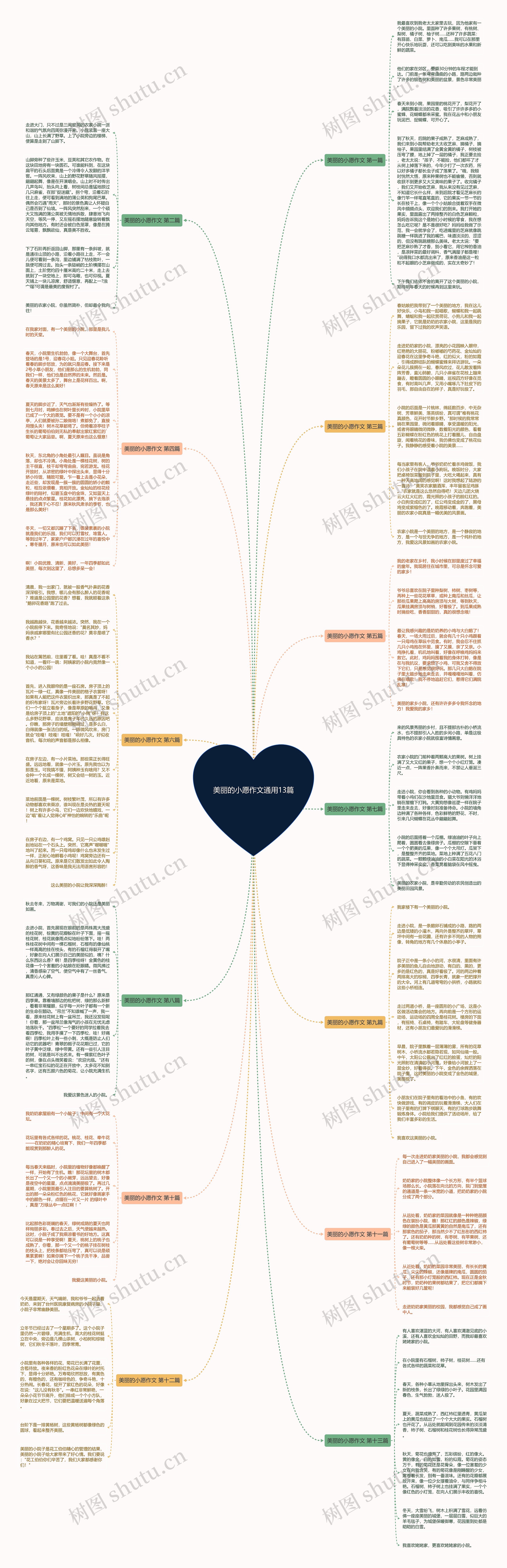 美丽的小愿作文通用13篇思维导图