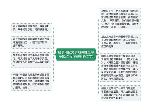 晒孕照配文孕妇照唯美句子(适合发孕妇照的文字)