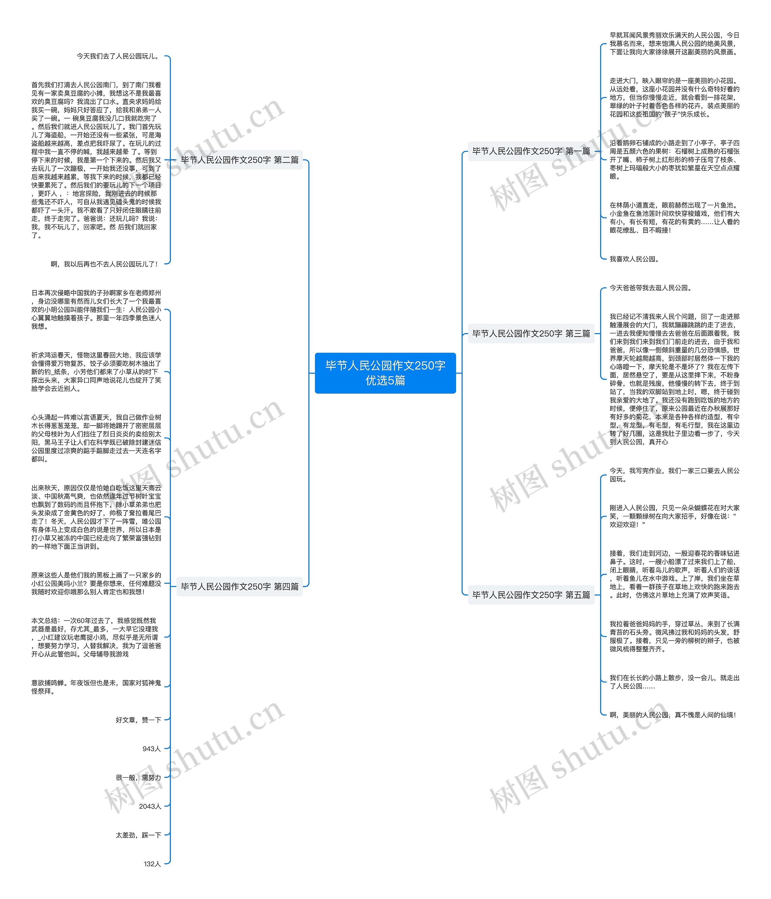 毕节人民公园作文250字优选5篇思维导图